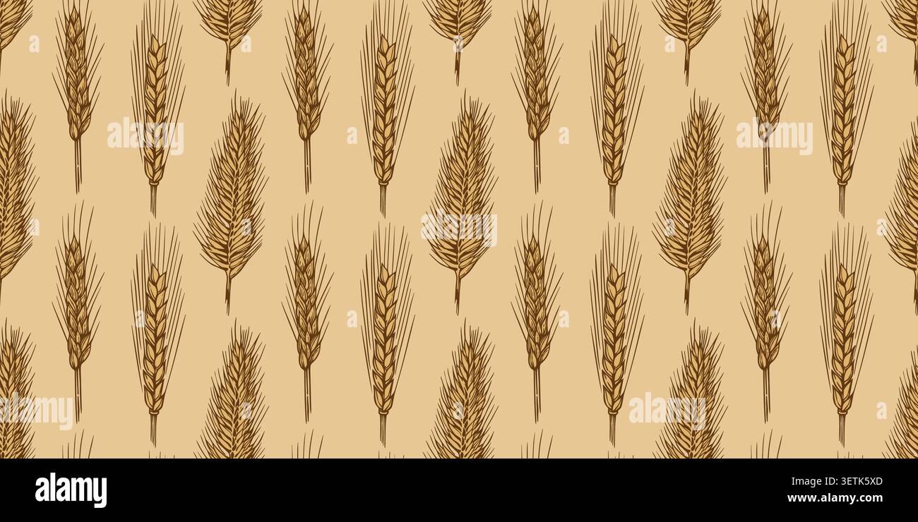Wheat spikelets and grains seamless pattern. Sketch vector background with cereal plants Stock Vector