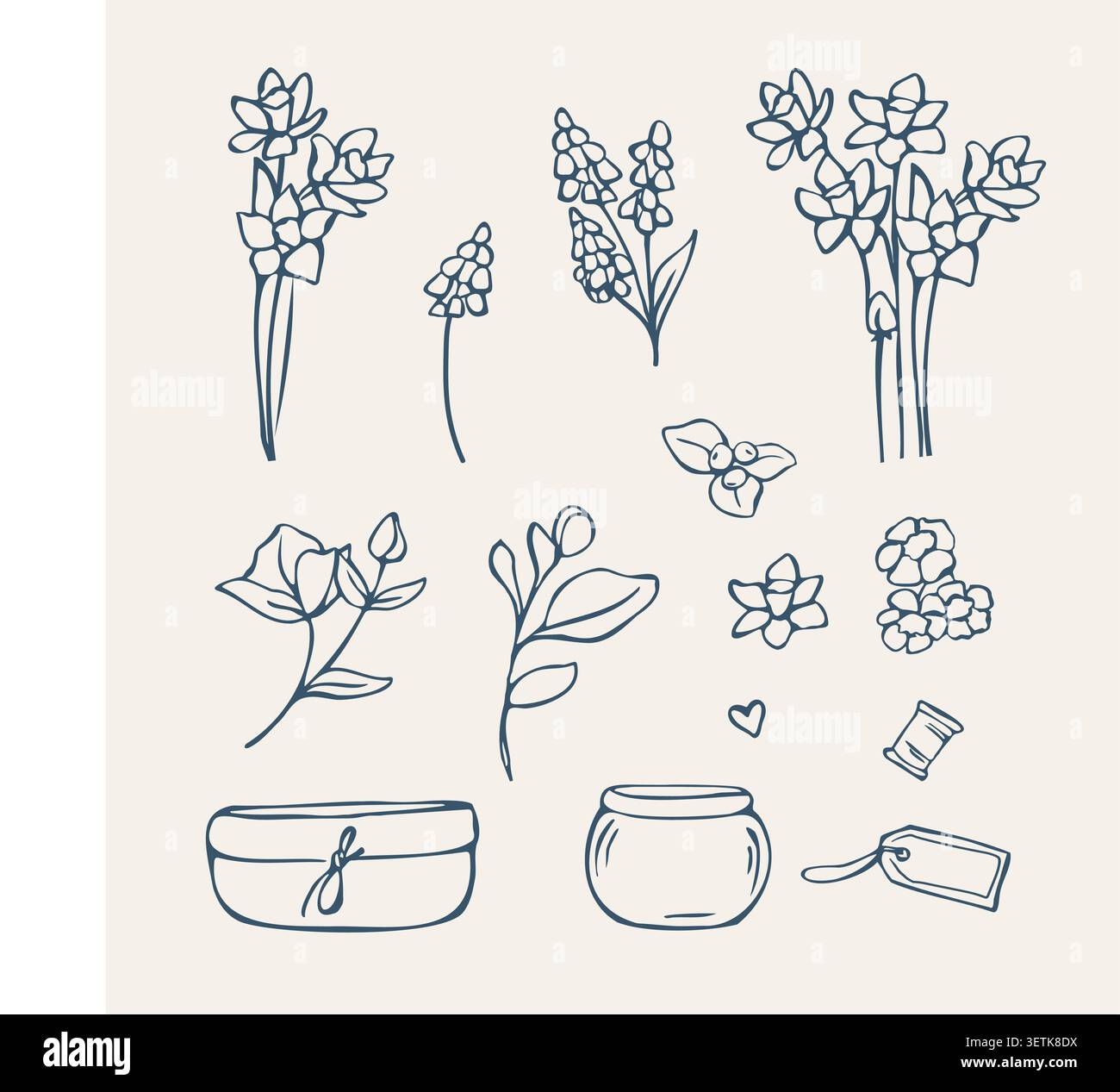 Hand drawn spring botanical elements and florist garden doodle set Stock Vector