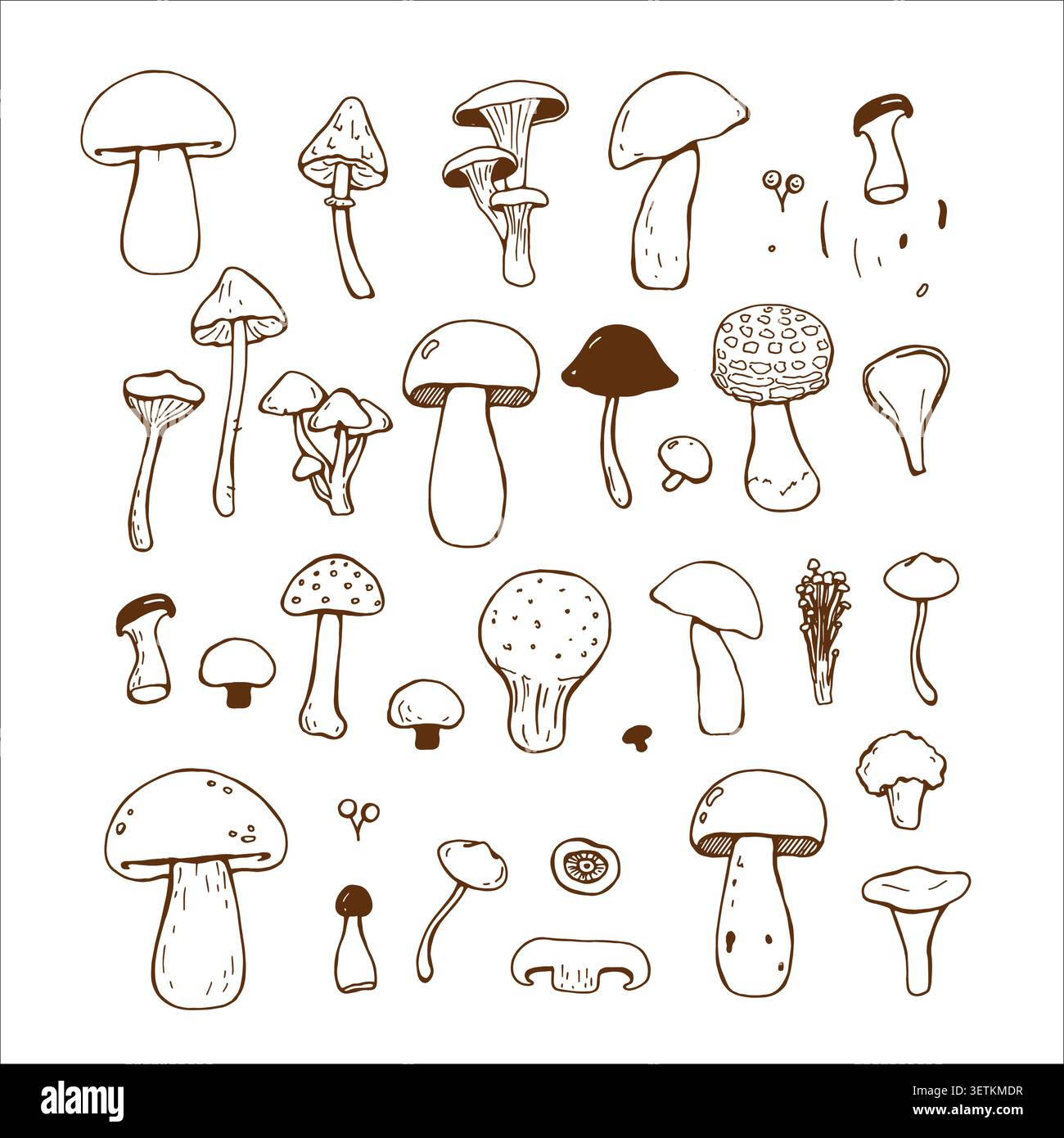 Whimsy simple mushrooms set. Hand drawn various mushrooms Stock Vector
