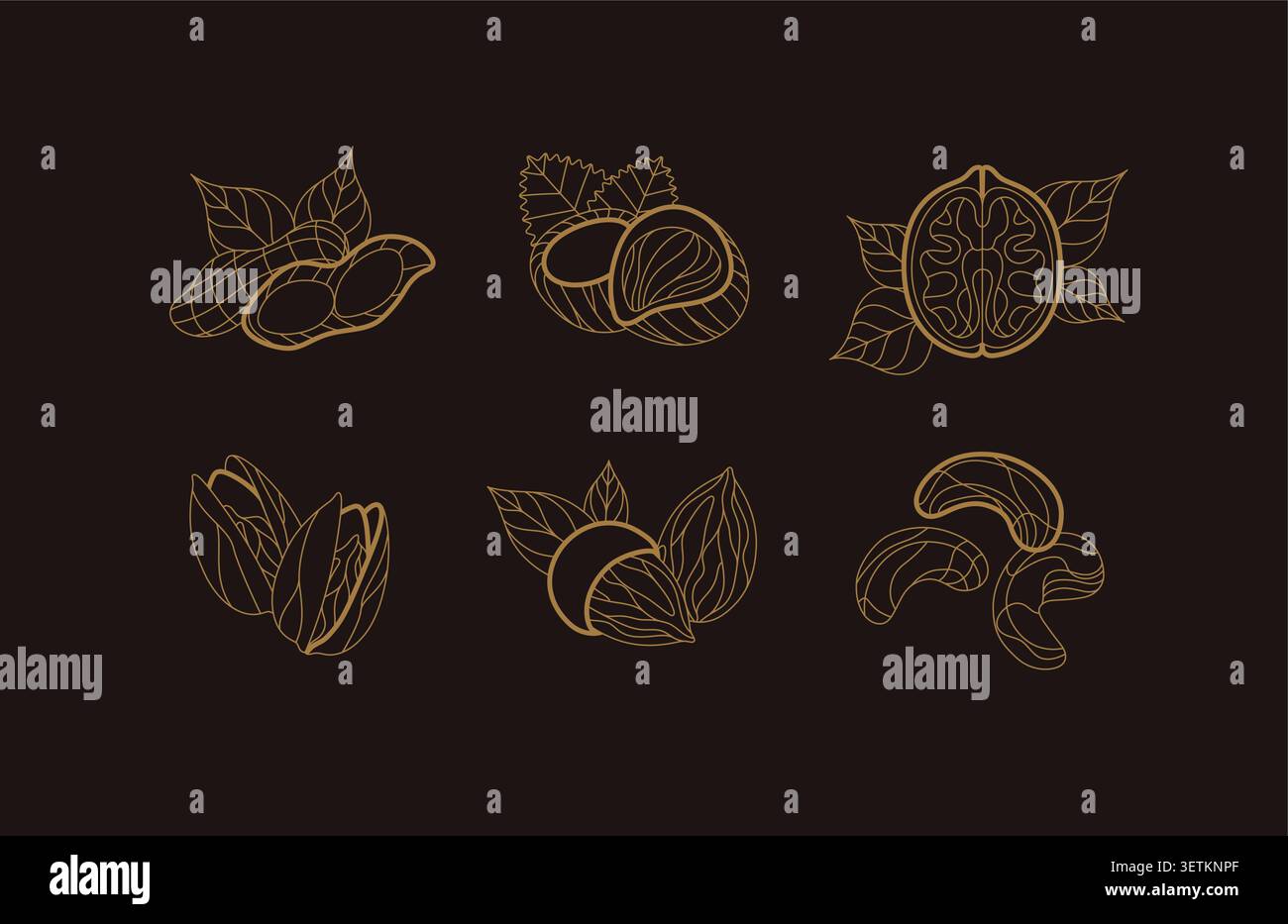 Nuts collection pistachio, almond, hazelnut, walnut, cashew illustrations with leaves drawing in linear art deco style on dark background Stock Vector