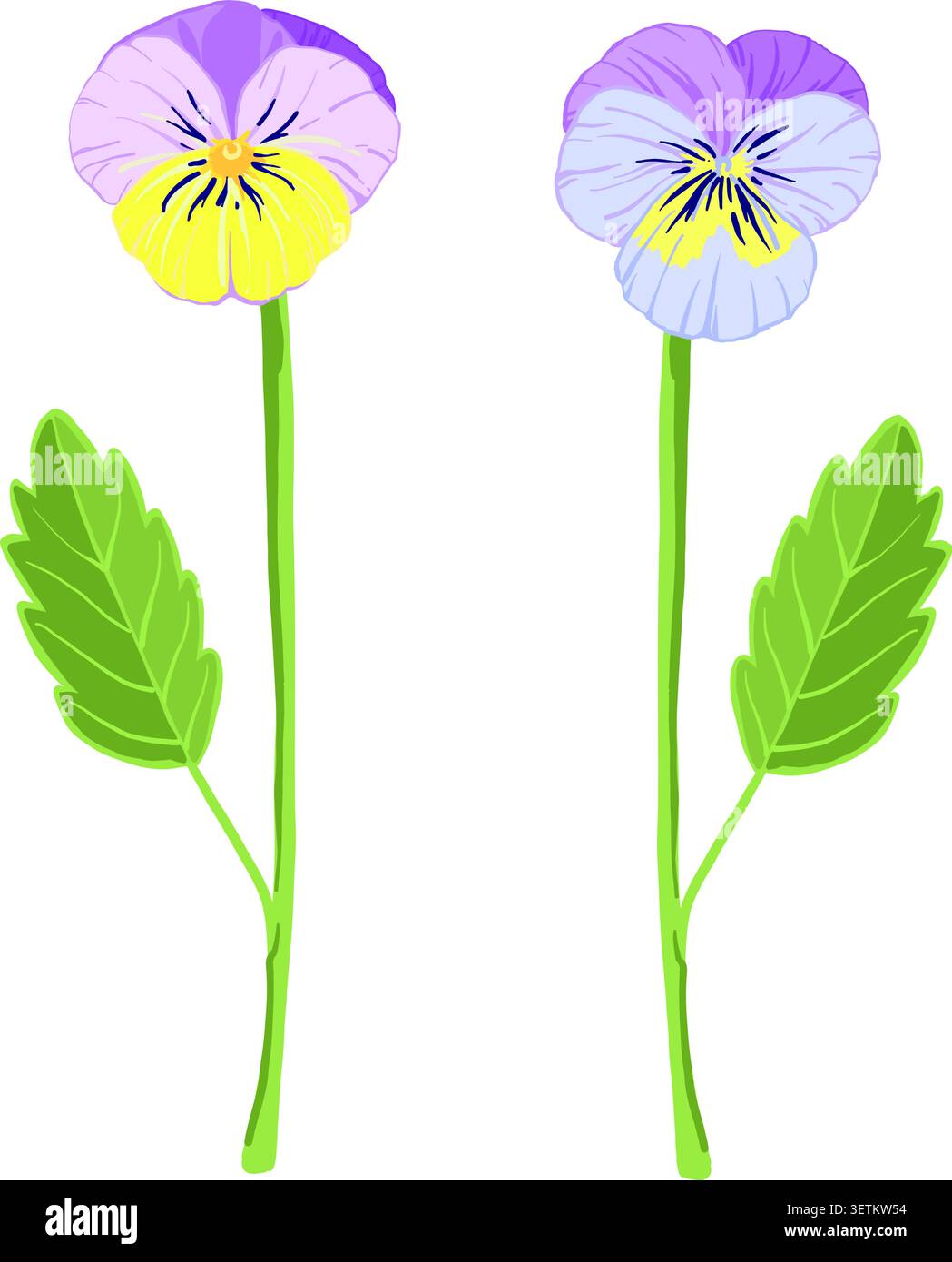 lilac vector viola flowers, sprout, leaf, pansies, violets Stock Vector