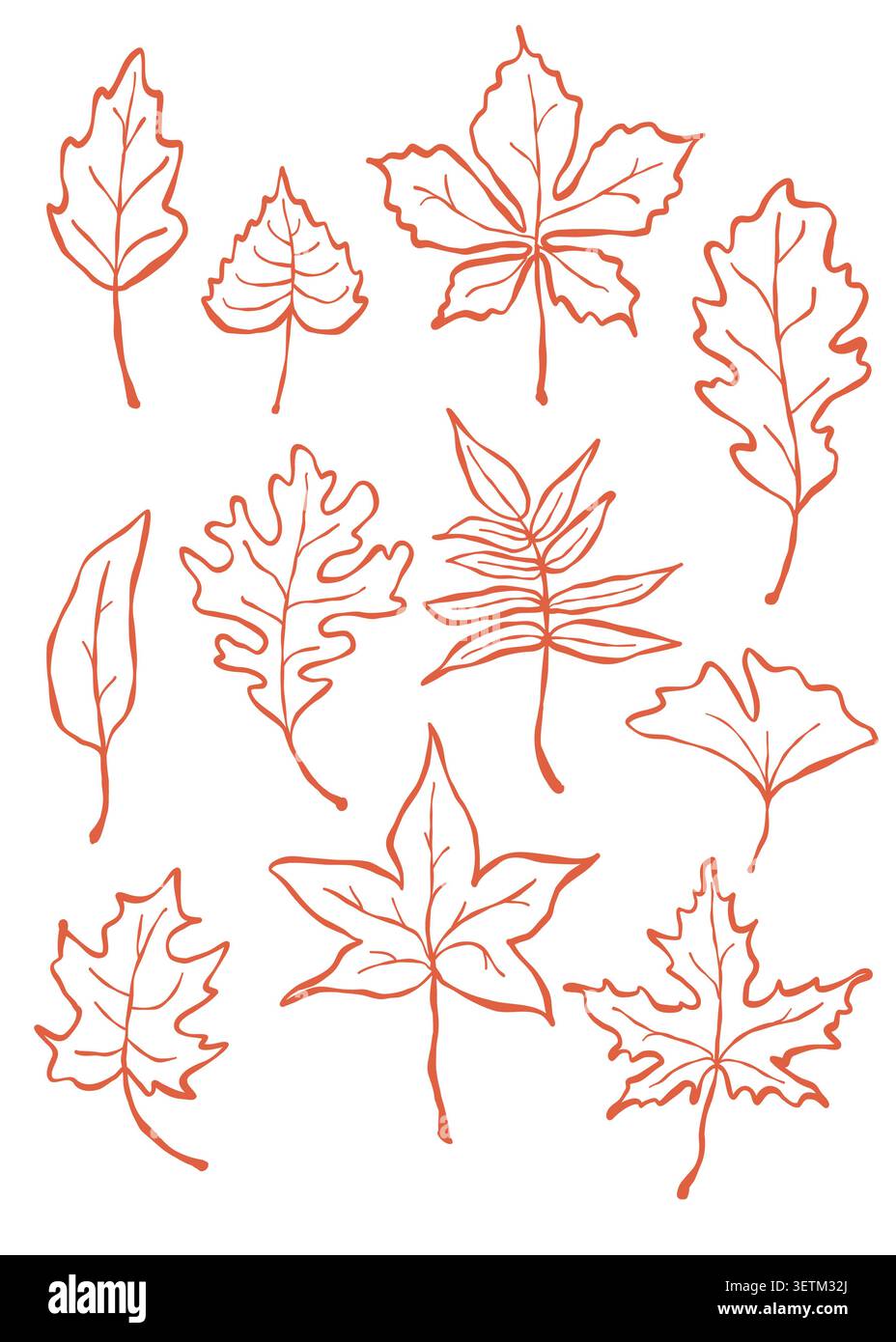 Autumn leaves outline vector set Stock Vector