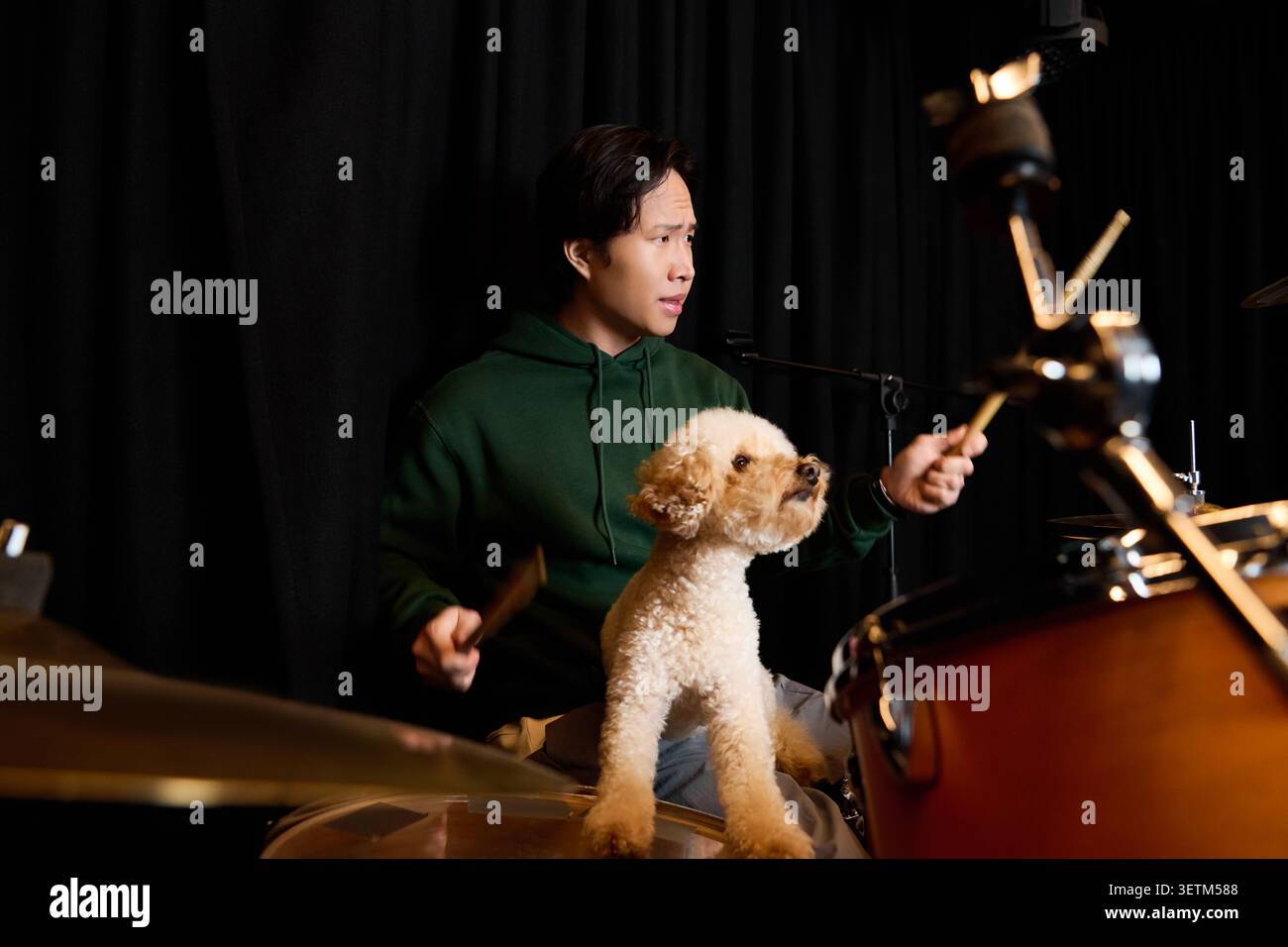 In a lively recording studio, a young Asian man plays drums while his dog sits beside him. Stock Photo