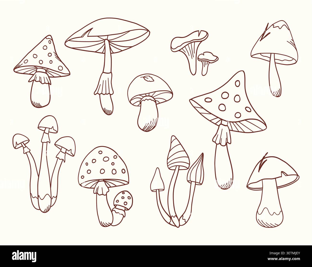 Forest mushrooms outline vector set for coloring book. Stock Vector