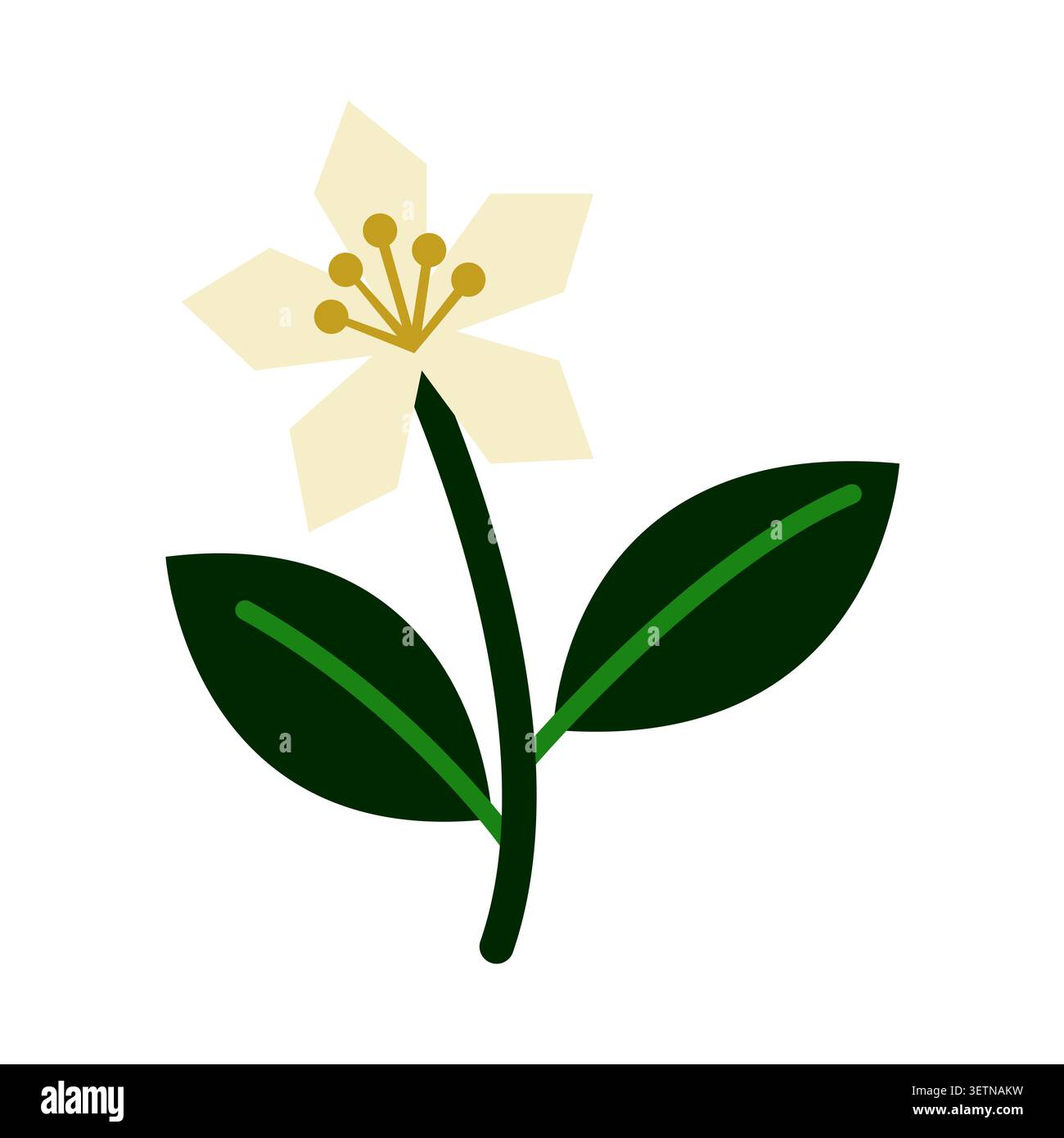 Minimalist Stylized White Flower Vector Illustration with Leaves Stock Vector