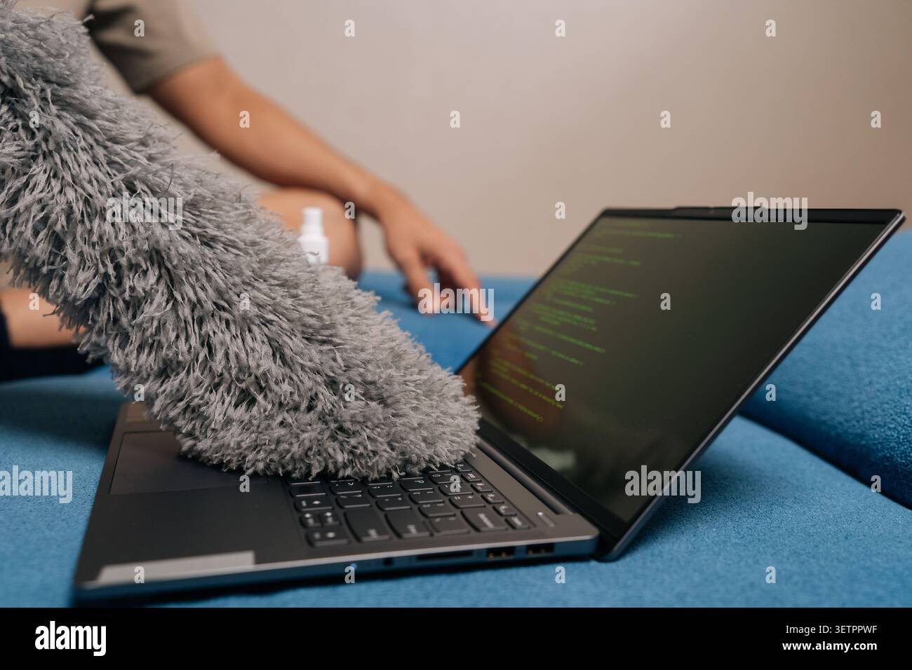 Close-up developer programmer sitting on sofa, using fluffy duster to clean up lines of messy code displayed on laptop screen, symbolizing software Stock Photo
