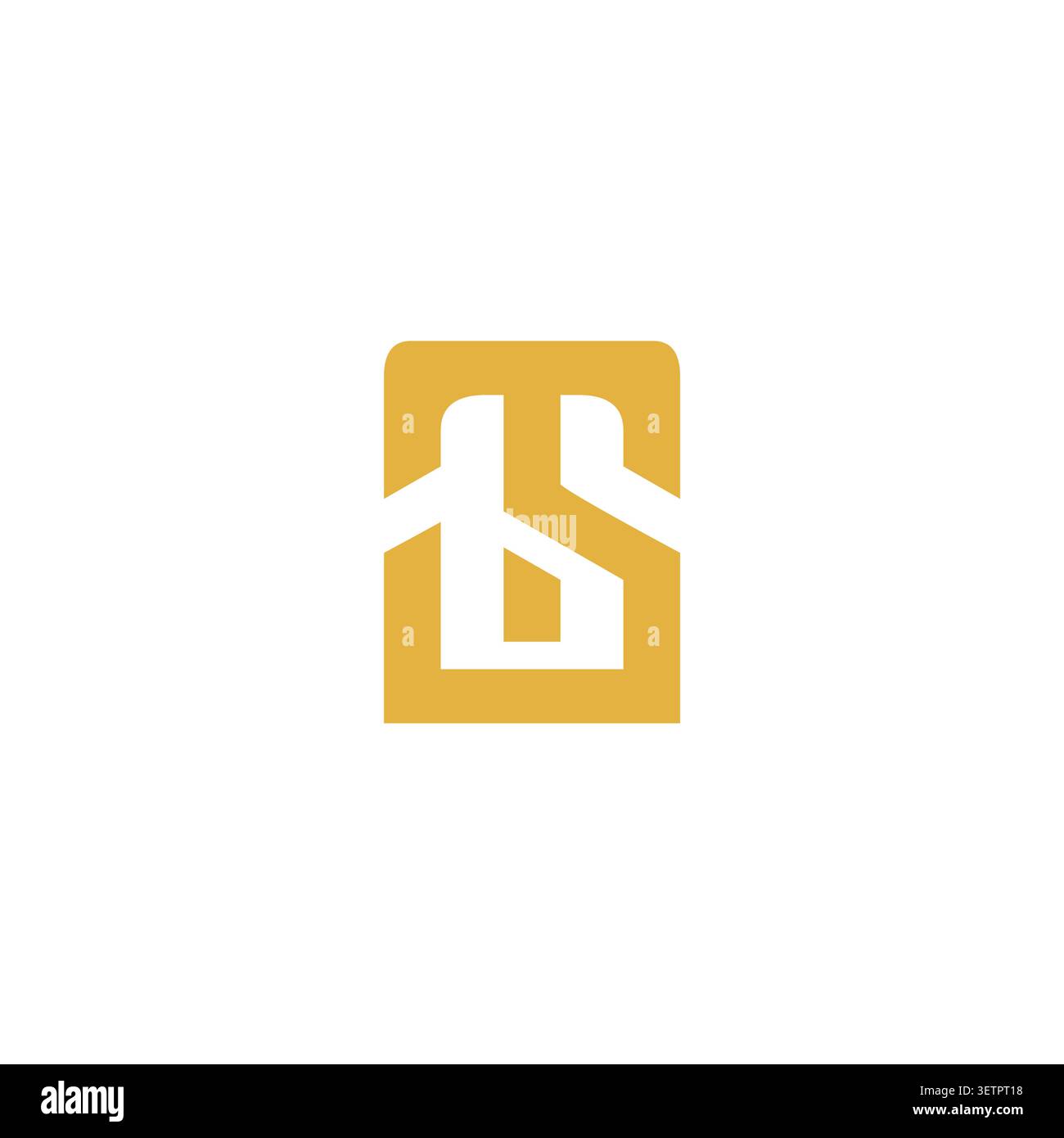 TS Logo Design. Creative T and S combination latter logo Stock Vector