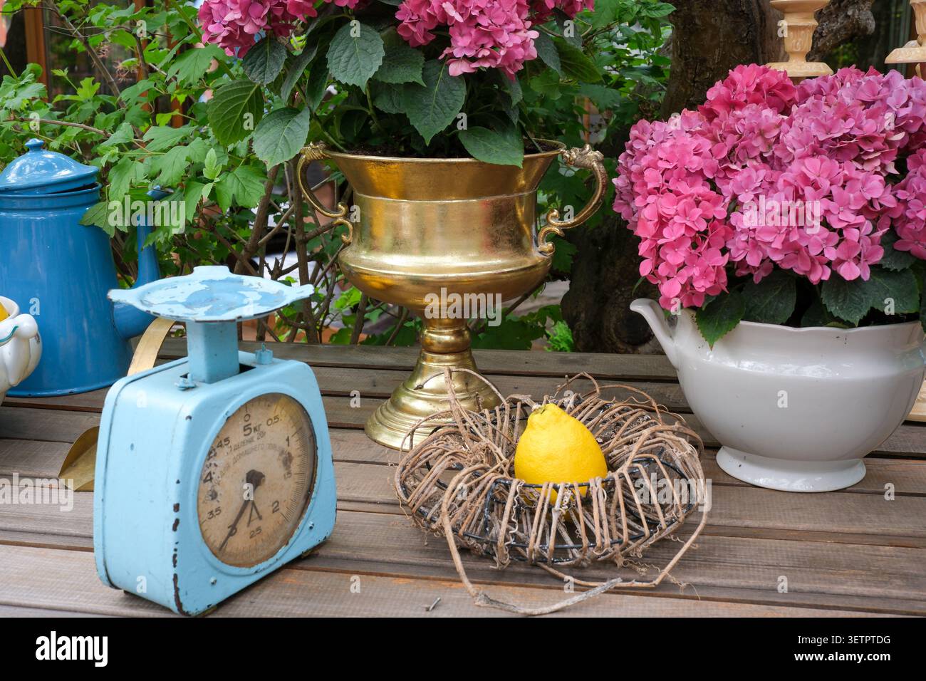 A charming garden scene featuring a vintage scale, flowers, and a lemon. Kyiv, Ukraine, June 23, 2026 Stock Photo