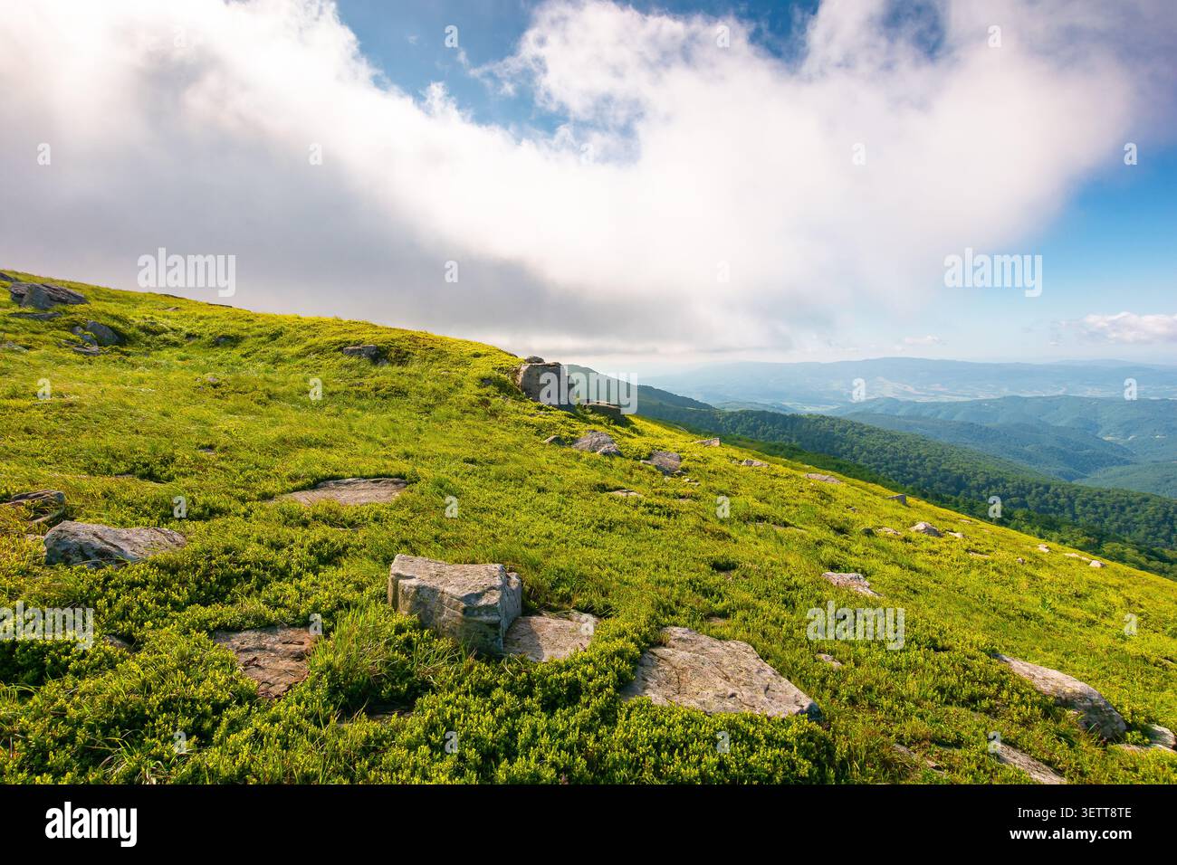 nature scenery with mountain under summer sky. alpine landscape of carpathian mountain with grassy slopes. low fluffy clouds on high altitude. summer Stock Photo