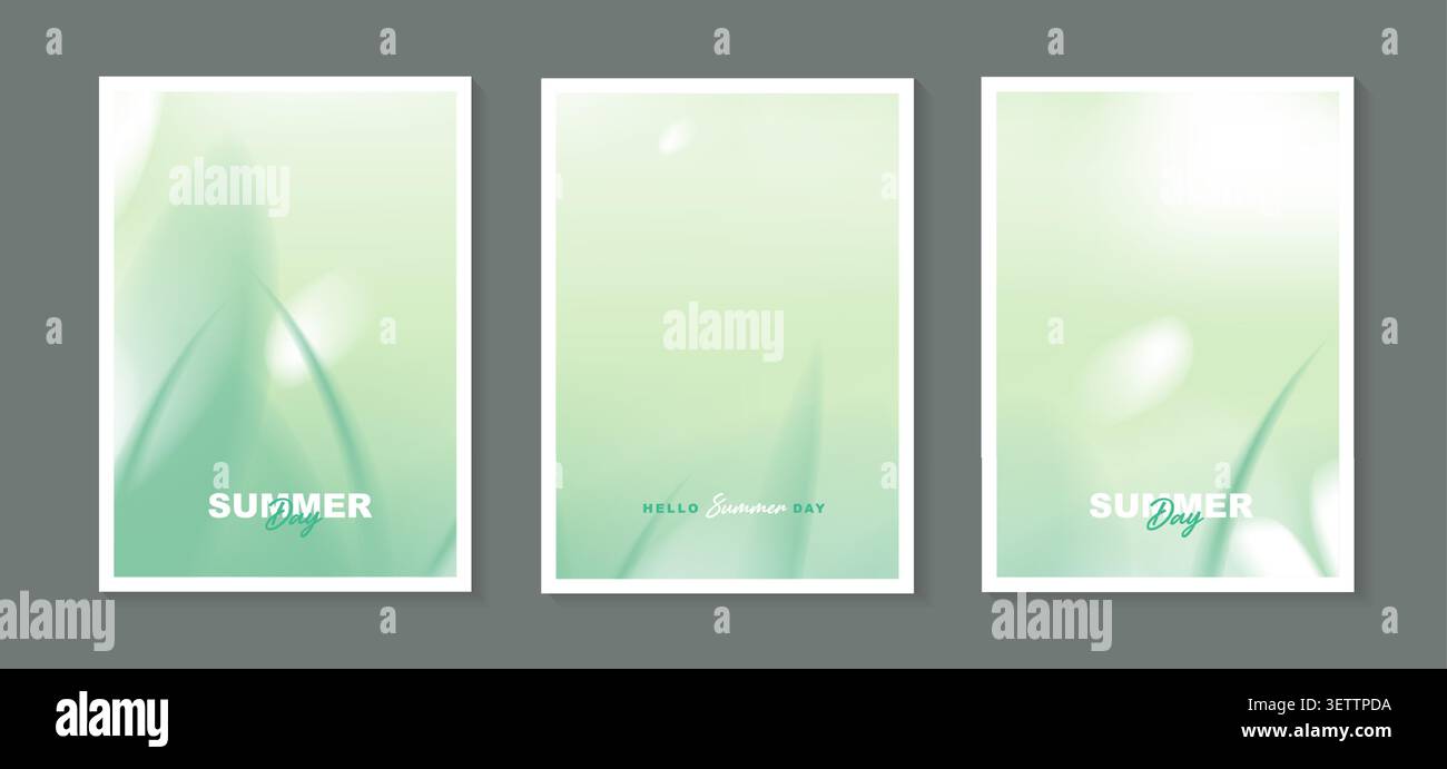 Abstract fluid sage green leaf nature gradient background set for summer poster, vertical cover design template with soft bokeh light liquid wave. Stock Vector