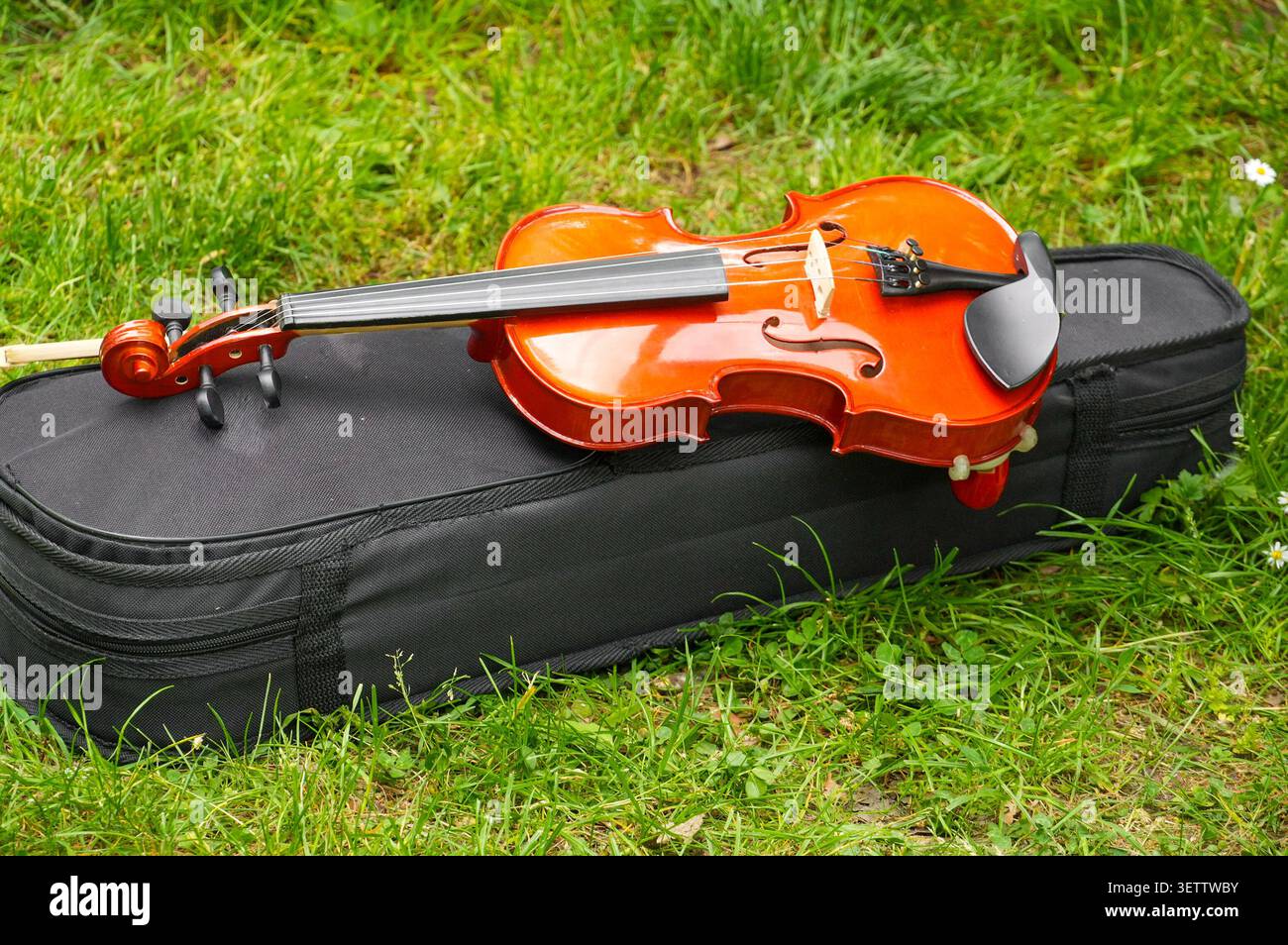 Violin and black case on green grass, close-up photo. Musical instrument. Stock Photo