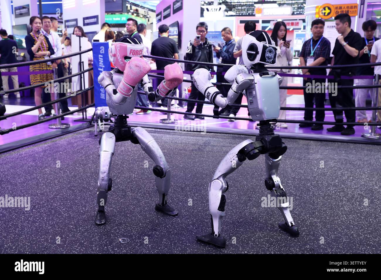 Visitors watch robot combat at the Digital Intelligence Technology ...