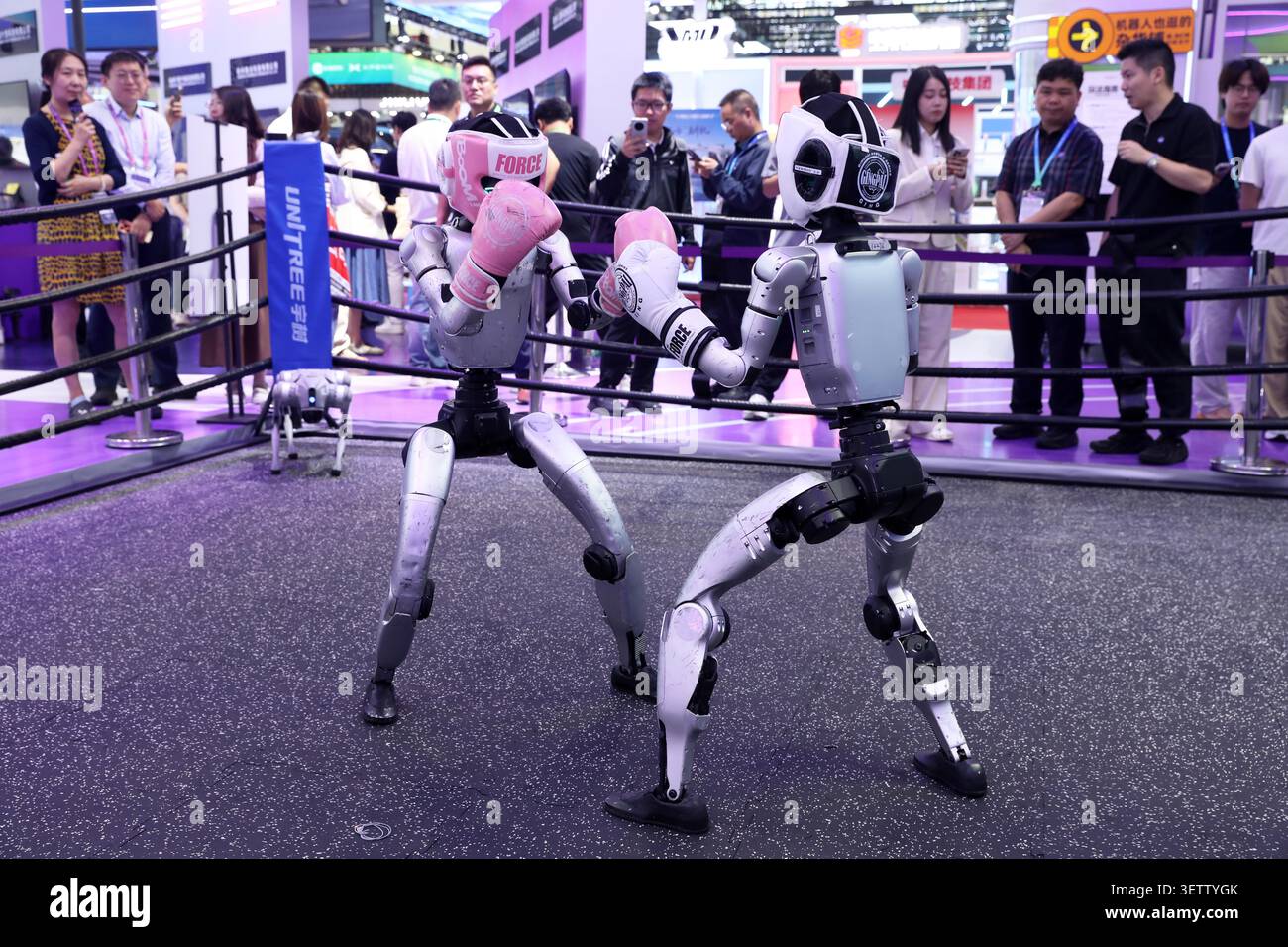 Visitors watch robot combat at the Digital Intelligence Technology ...