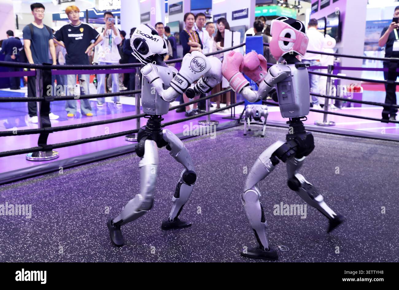 Visitors watch robot combat at the Digital Intelligence Technology ...