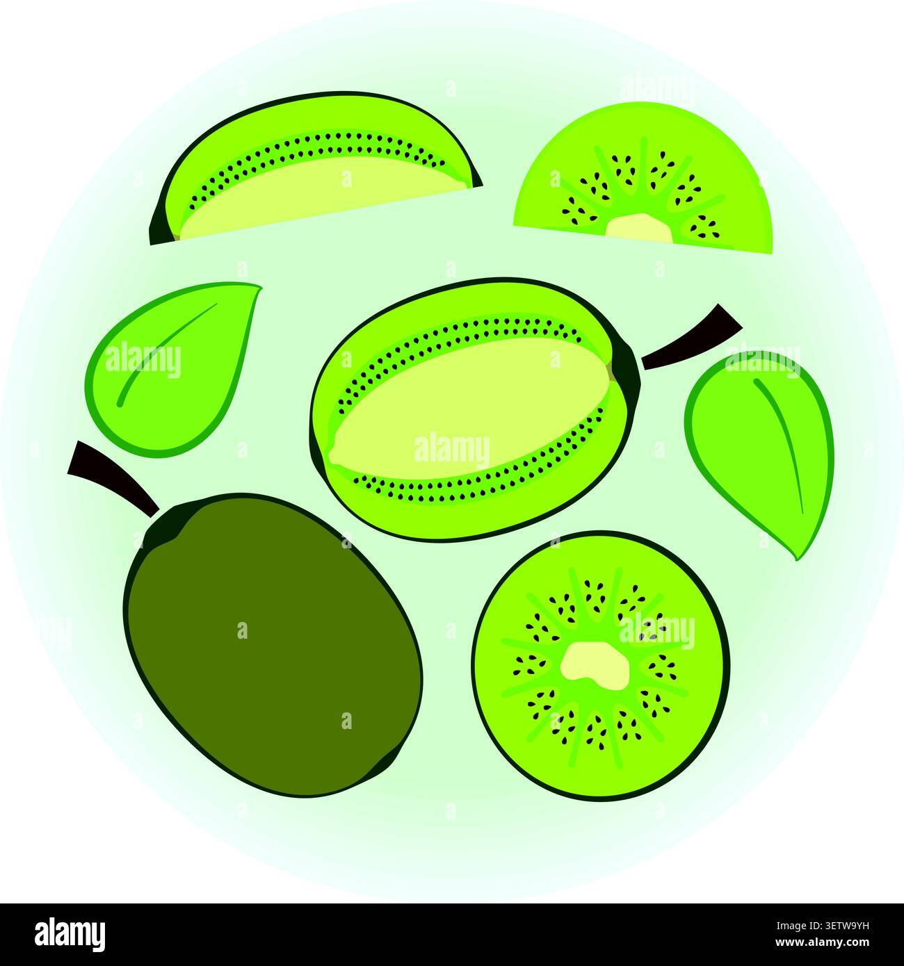 Flat vector ripe green kiwi set Stock Vector