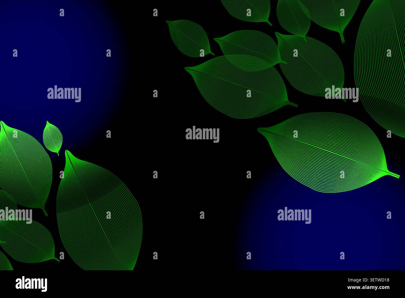 Abstract green line art leaves pattern on a dark blue gradient background Stock Vector