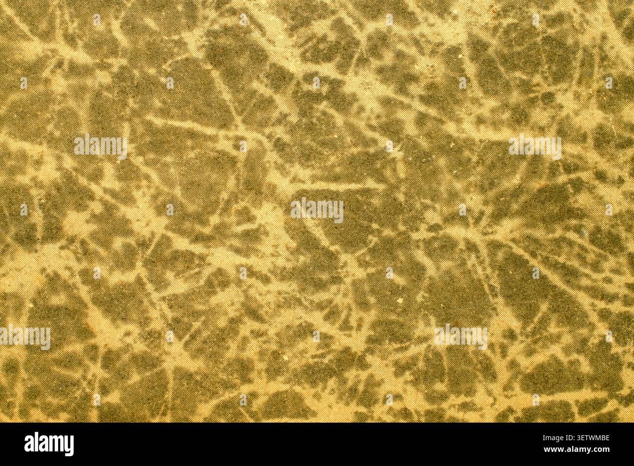 Distressed textures of old book covers, macro. Stock Photo