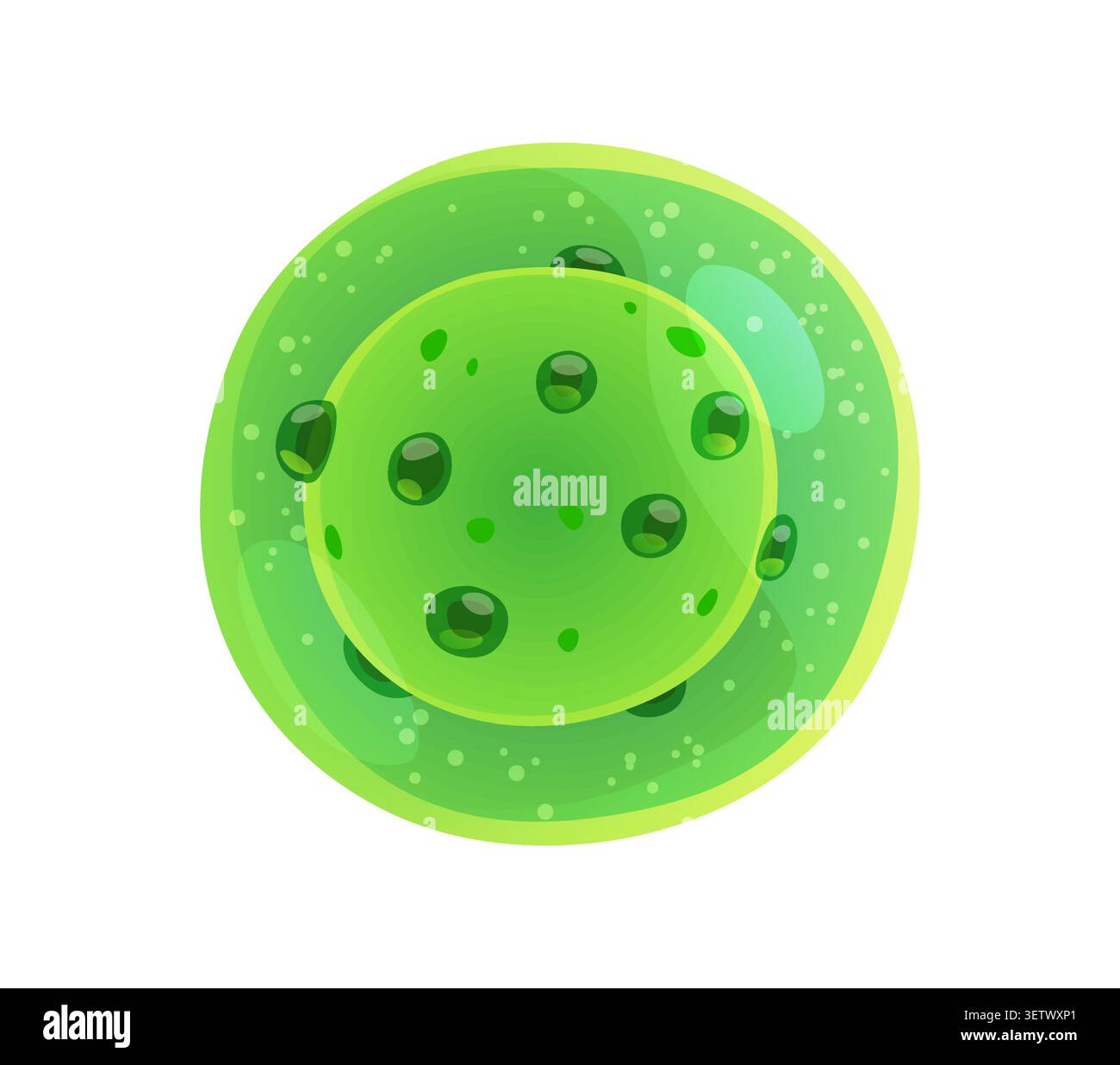 Ameba germ or bacteria bacillus microorganism Stock Vector