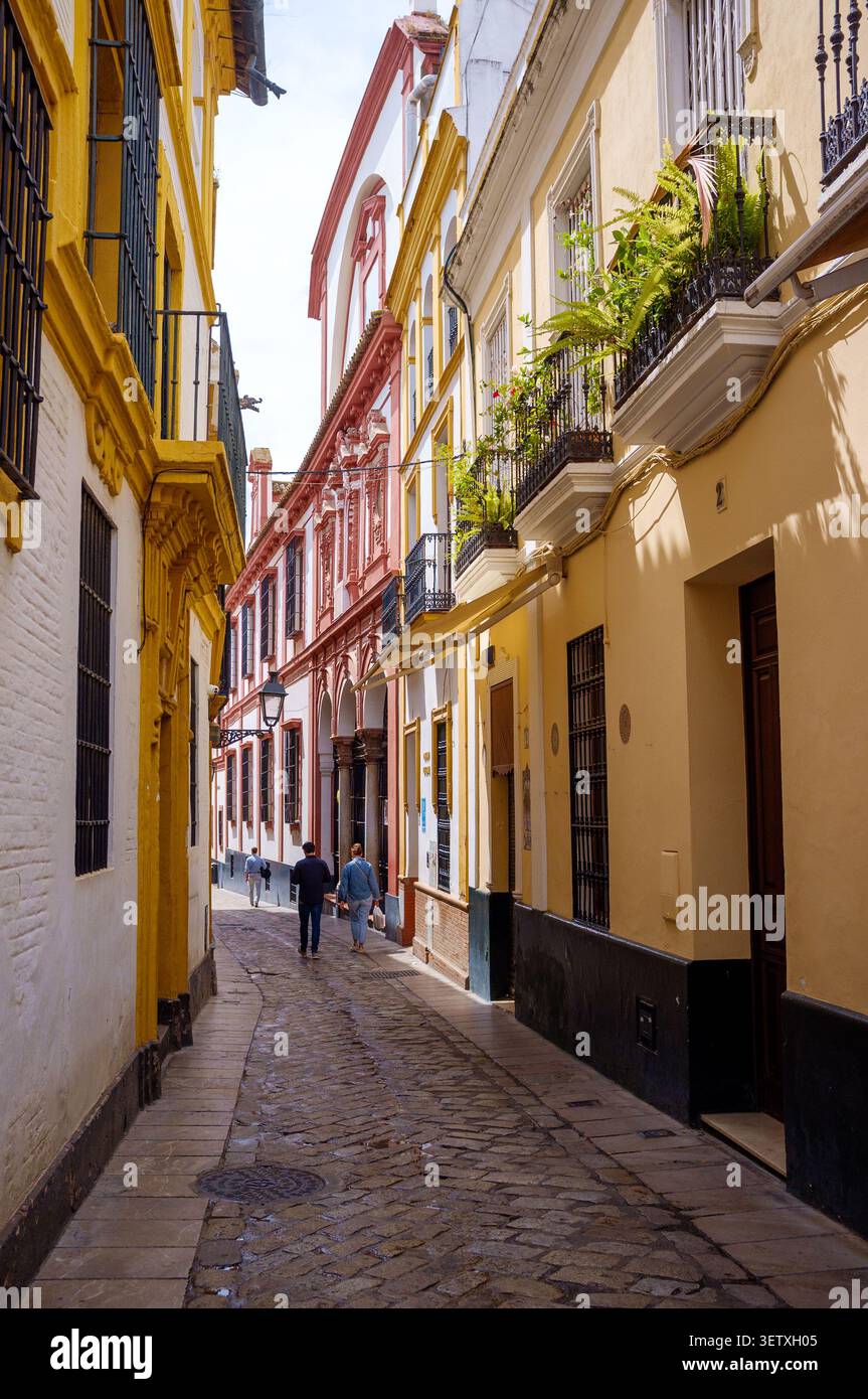 Narrow picturesque colourful street of Calle Jamerdana Seville Spain. Stock Photo