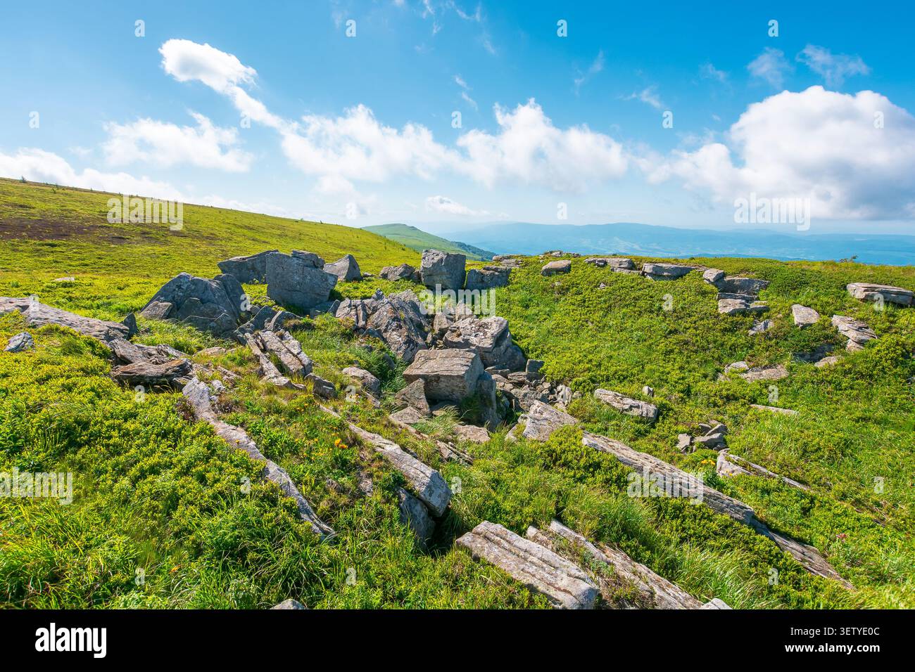 alpine grassy meadow. carpathian mountains landscape with huge boulders. alpine nature scenery of ukraine highlands in summer. view of remote place in Stock Photo