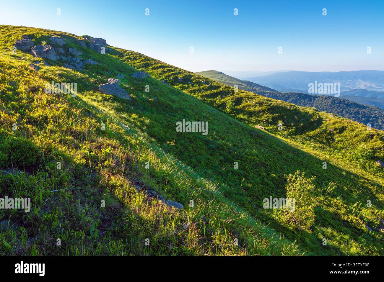 mountain landscape on a summer morning. beautiful outdoor scenery of carpathian mountains. grassy slopes with rocks. image for ukraine travel backgrou Stock Photo