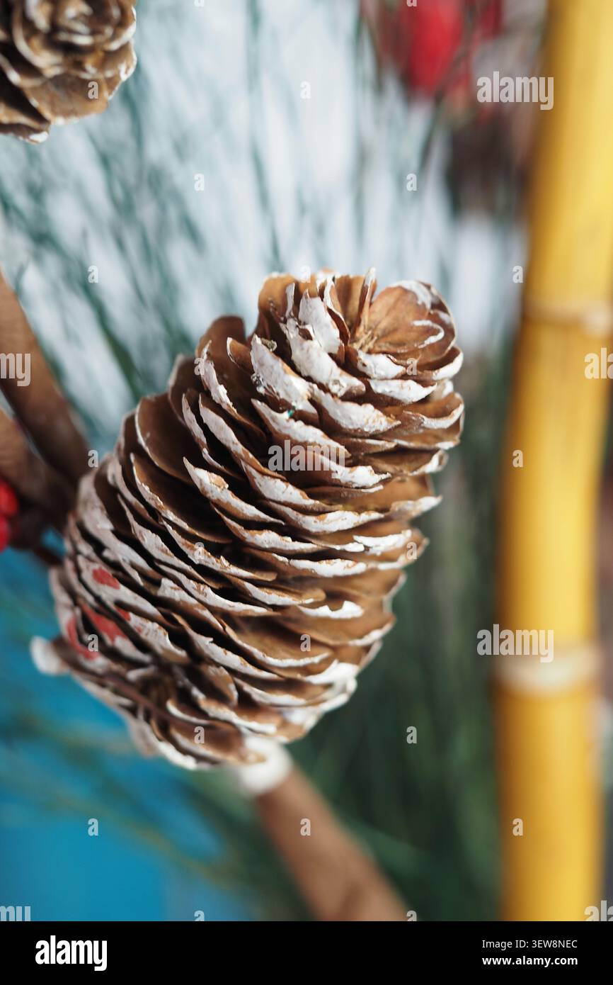 Pine cone sits on a wooden surface in a simple display Stock Photo