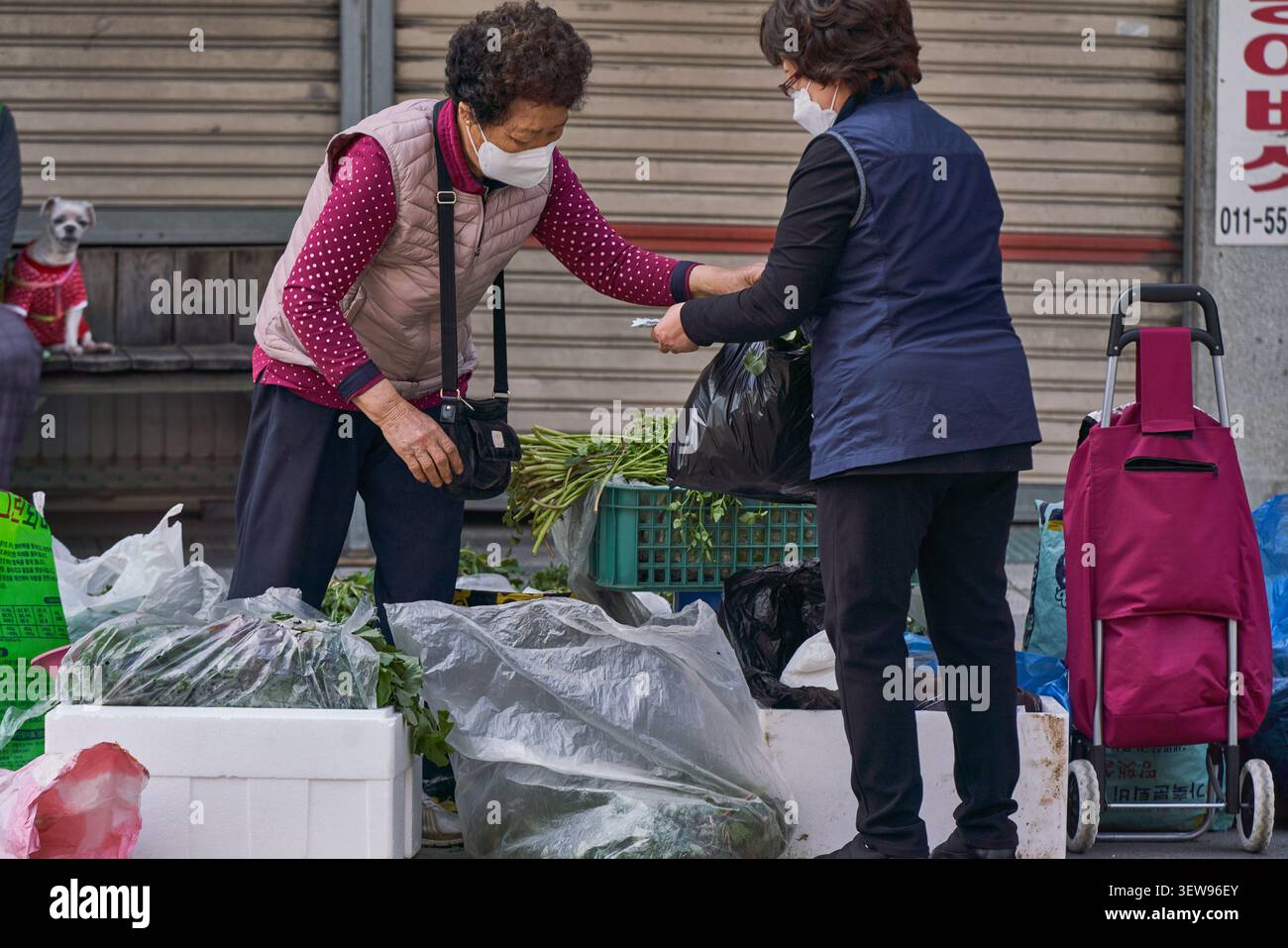 Reolution Life Korean social life hi-res stock photography and images - Alamy
