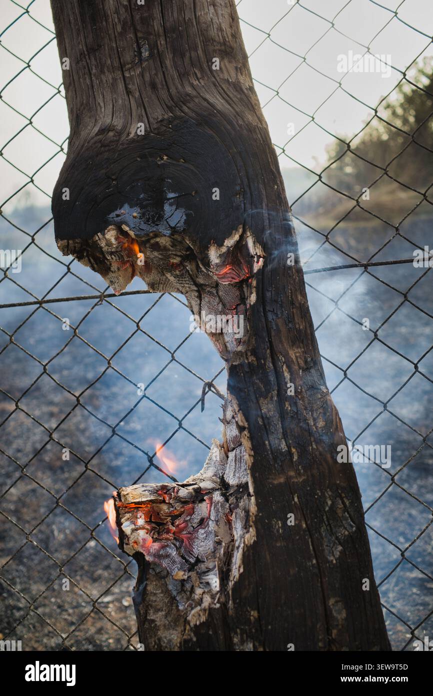 Burnt tree trunk smoldering against a fence Stock Photo