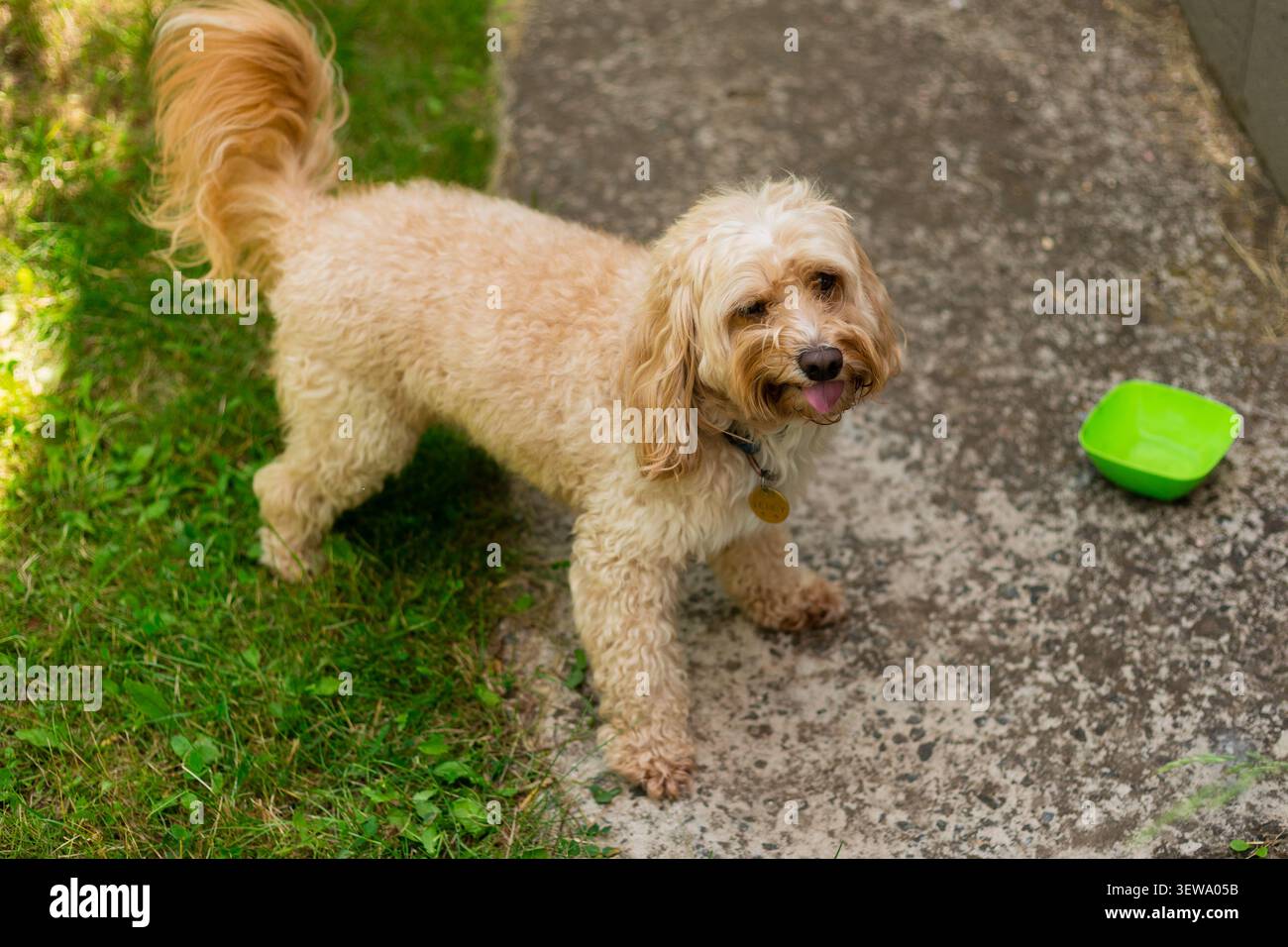 Photo Stock Photo