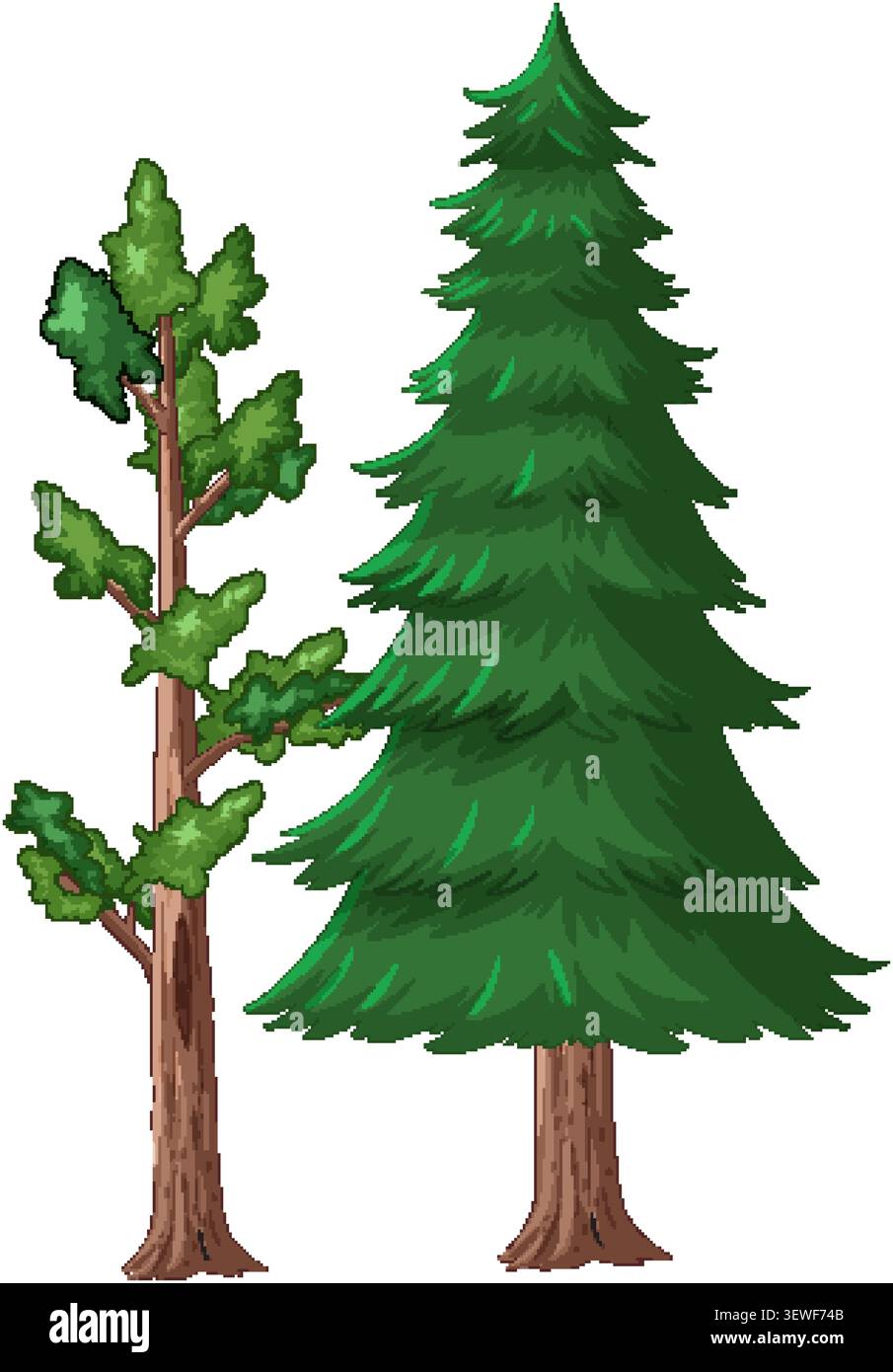 Flat vector illustration of a tall pine tree and leafy deciduous tree on white background. Stock Vector
