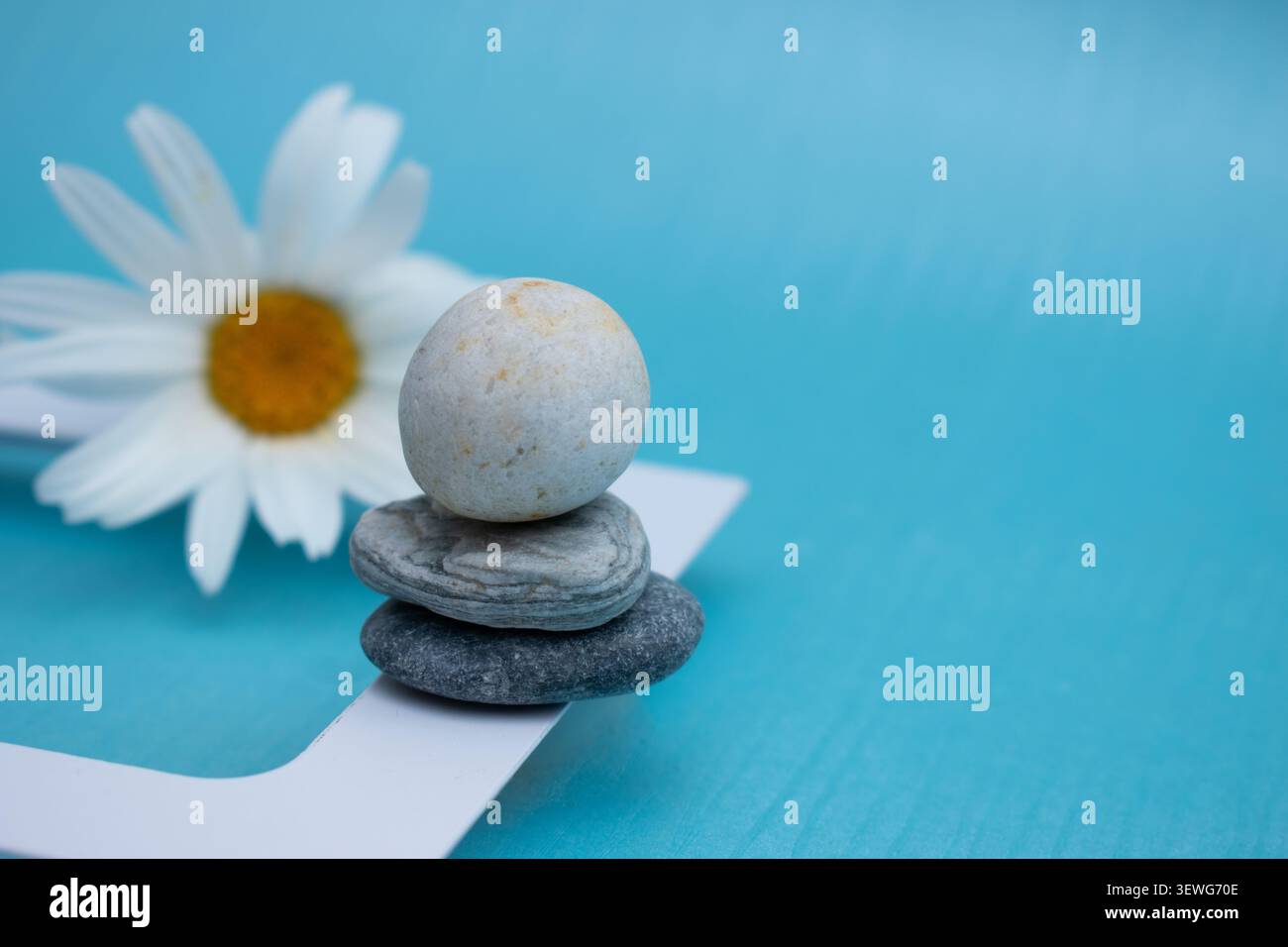 Balanced zen stones with white daisy on blue background Stock Photo