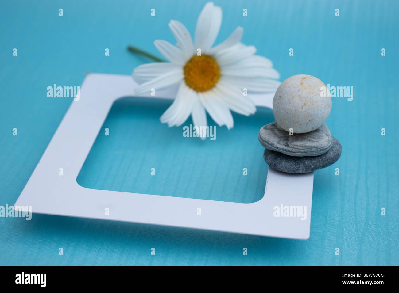 Balanced zen stones with white daisy on blue background Stock Photo