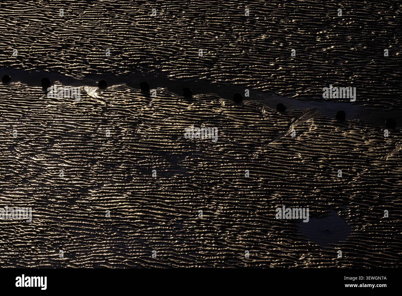 Golden light catching rippled sand patterns across estuary mudflat surface Stock Photo