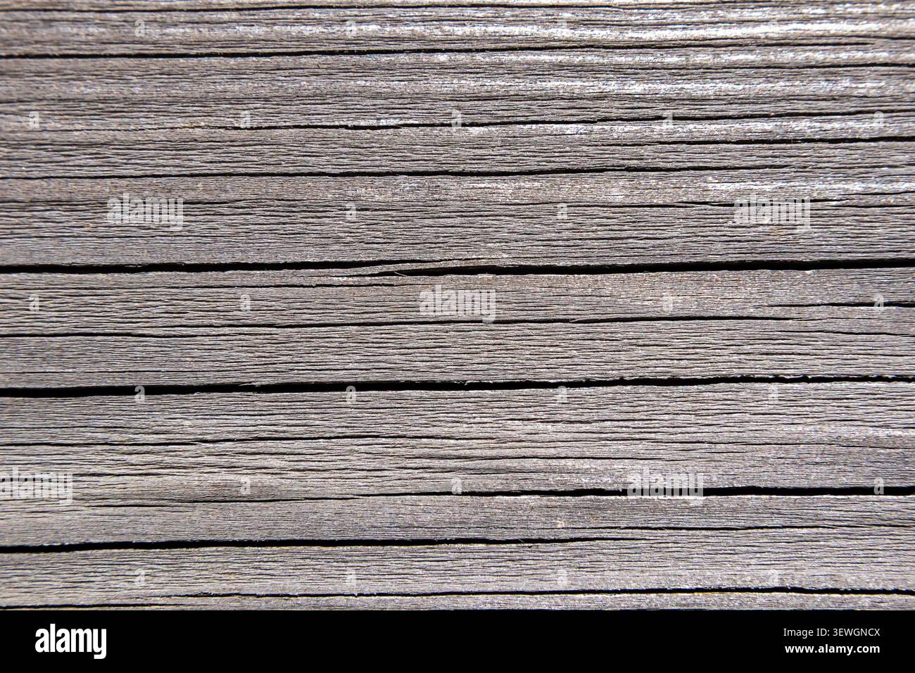 Weathered timber boards showing grain lines and surface cracking Stock Photo