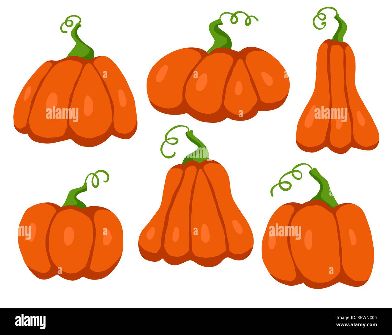 Autumn pumpkin vector set with curly stems isolated on white background. Stock Vector