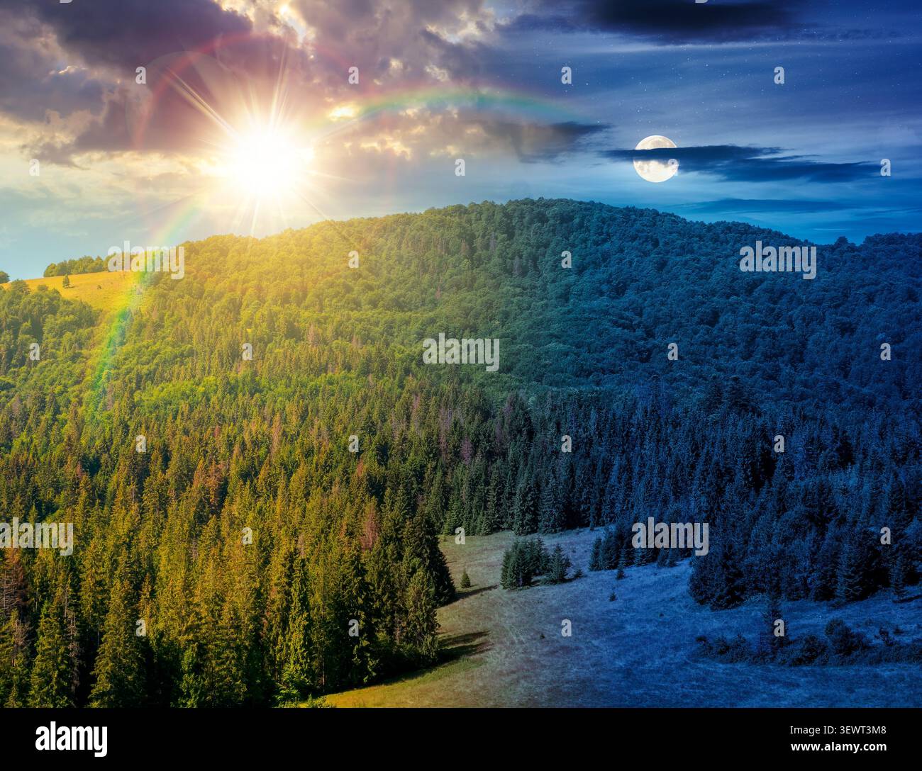fir trees on a meadow down the will to coniferous forest in mountains. day meet night. sun and moon over nature background of carpathian mountain land Stock Photo