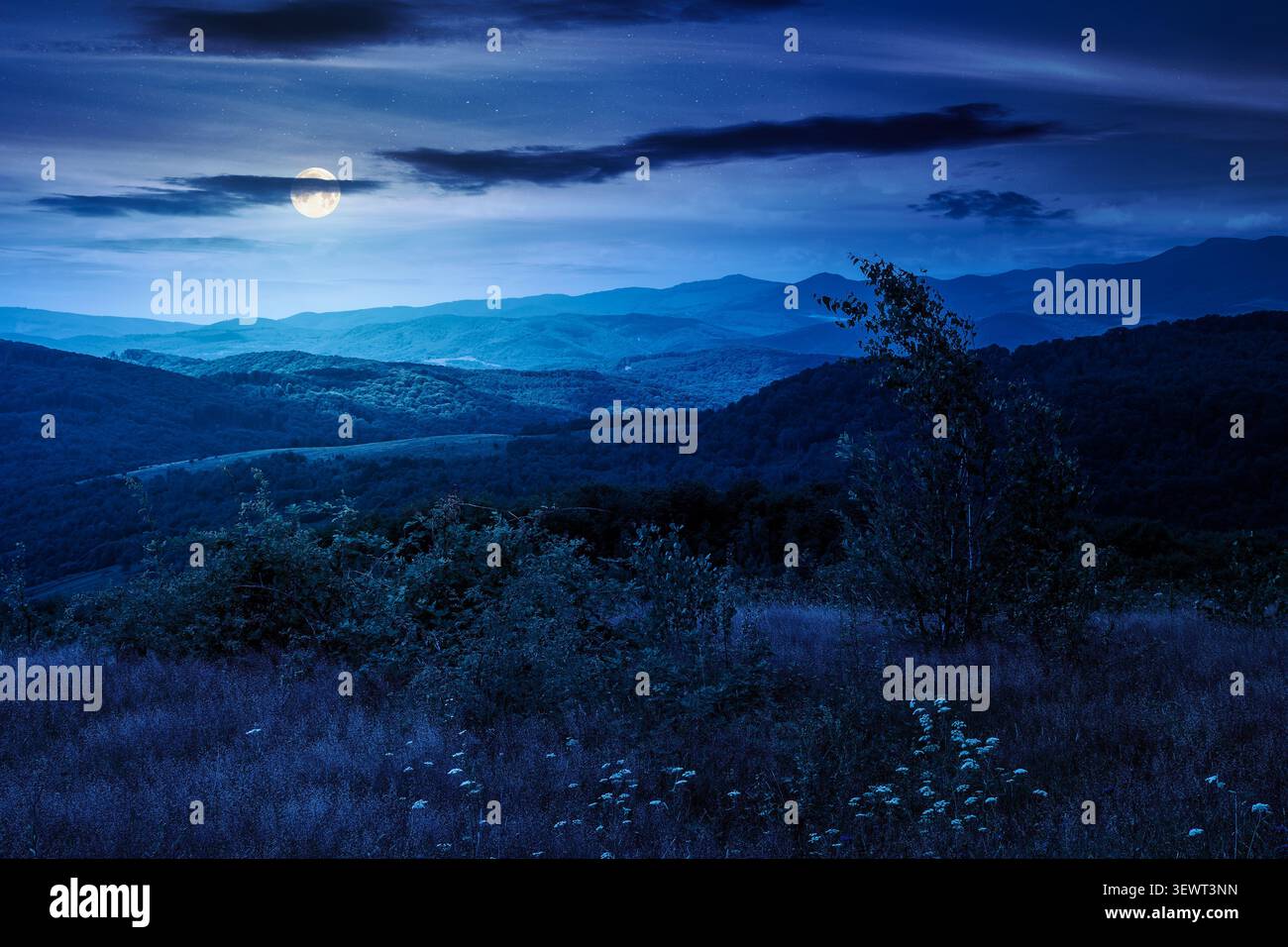 tree on a field in mountain landscape at night. full moon over green countryside of ukraine in summer. cloudy weather. carpathian landscape in dappled Stock Photo