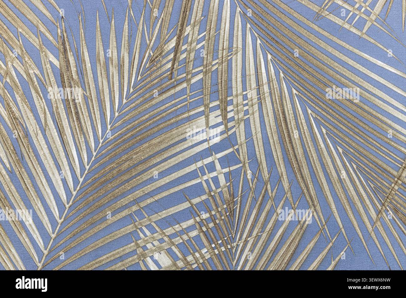 Palm leaf shadows on a textured wallcovering Stock Photo