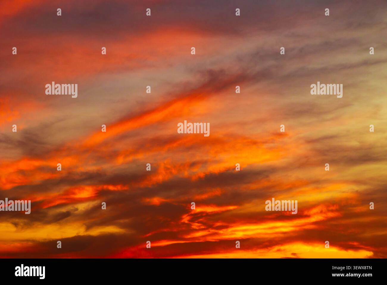 sunset background. Dramatic orange clouds in the sky at sunset Stock Photo