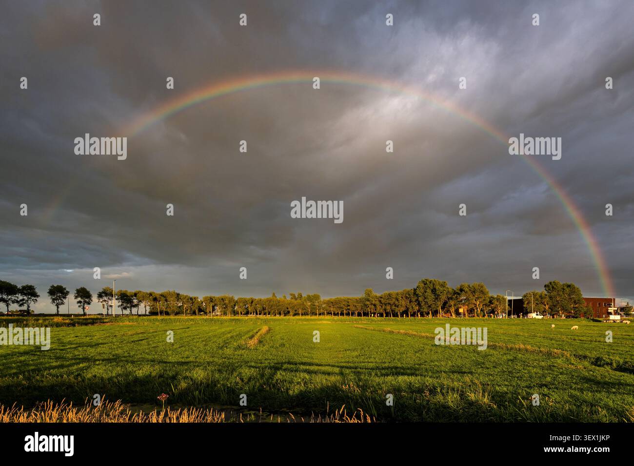 full-arc rainbow stretching across a dramatic sky Stock Photo