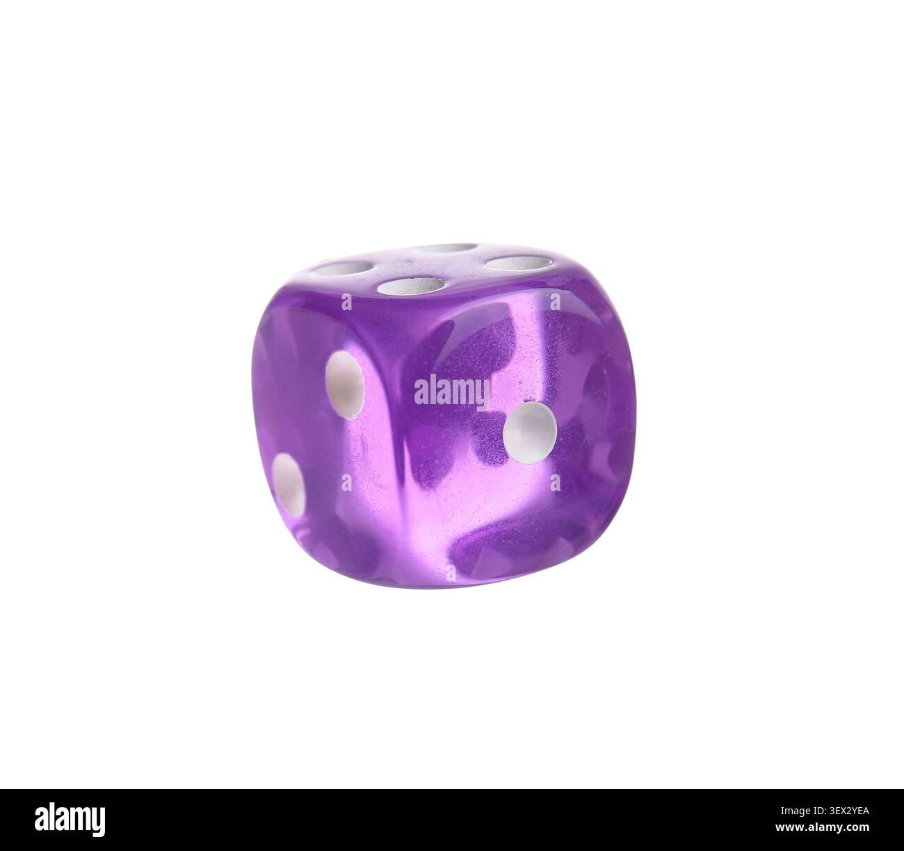 Purple dice on white background Stock Photo