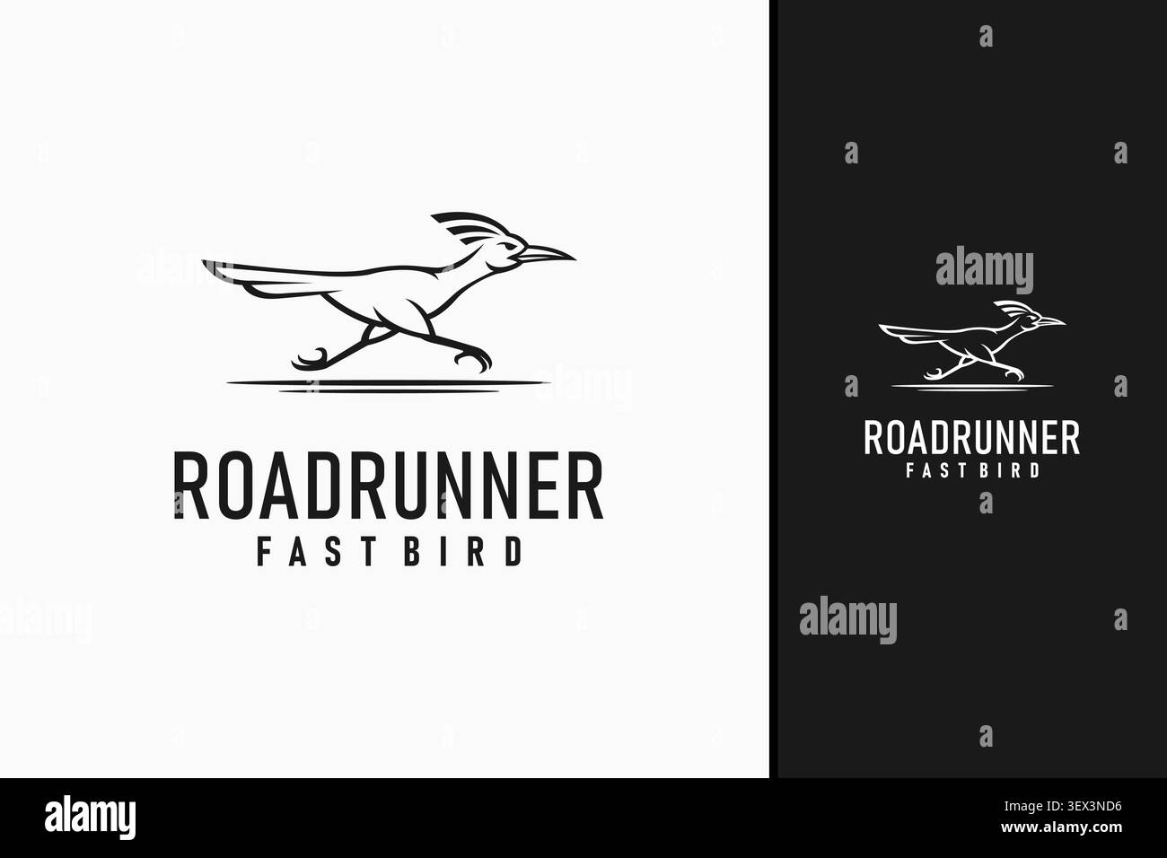 Roadrunner logo symbol icon design Stock Vector