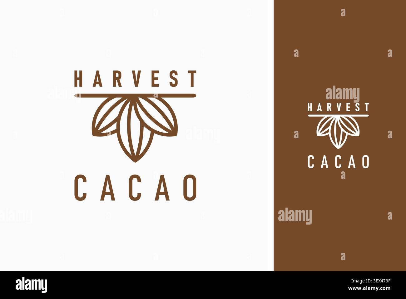 Cacao fruit logo symbol icon design Stock Vector