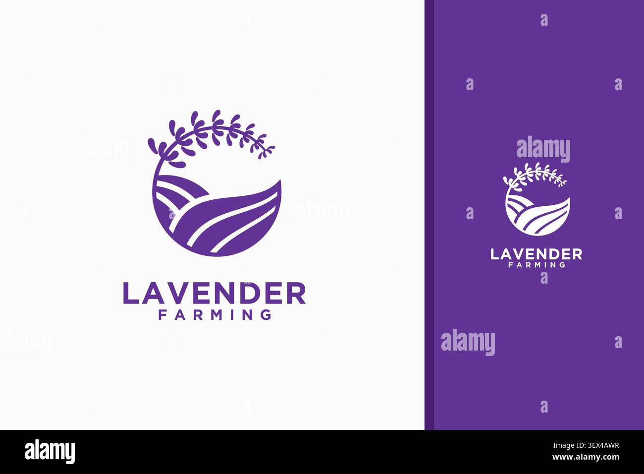 Lavender farm logo symbol icon design Stock Vector