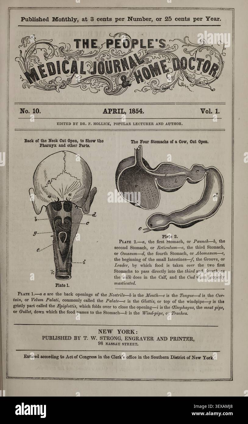 Vintage medical illustrations hi-res stock photography and images