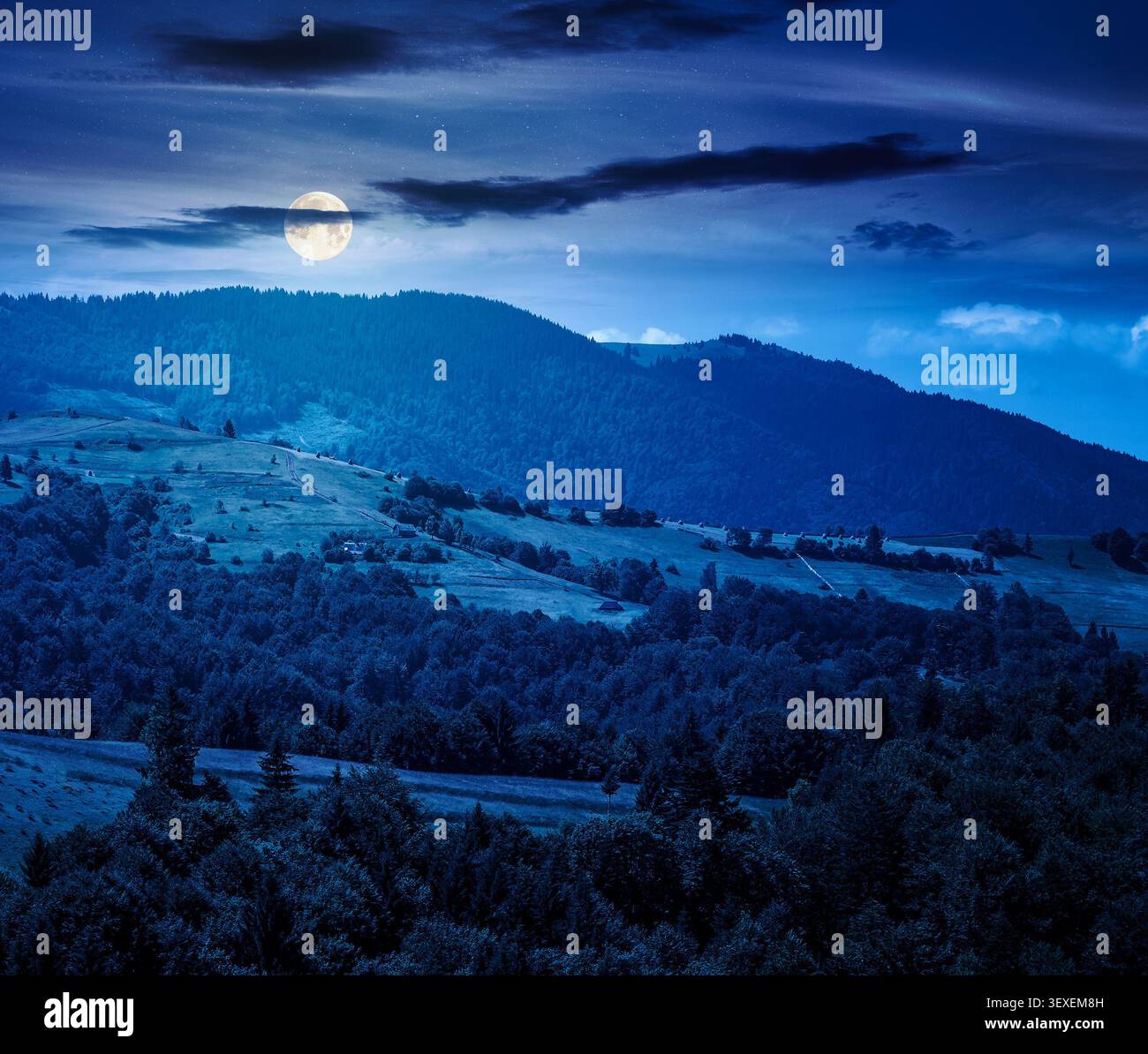 agricultural field on hillside in mountains near village at night. summer full moon. green carpathian mountain landscape. narrow view. remote alpine f Stock Photo