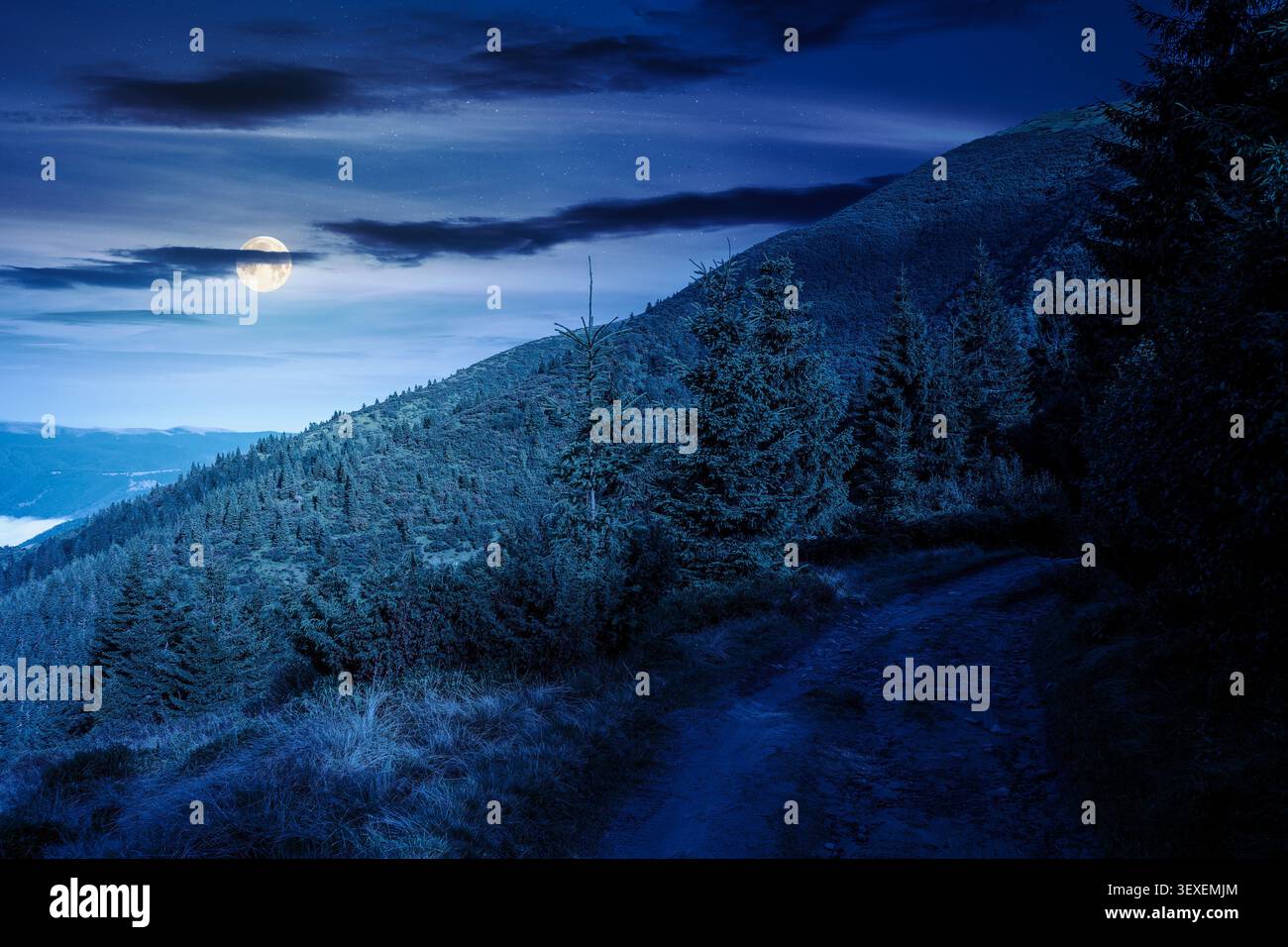 landscape with coniferous forest behind the meadow at night. full moon over nature background with carpathian mountains of ukraine. mysterious view of Stock Photo