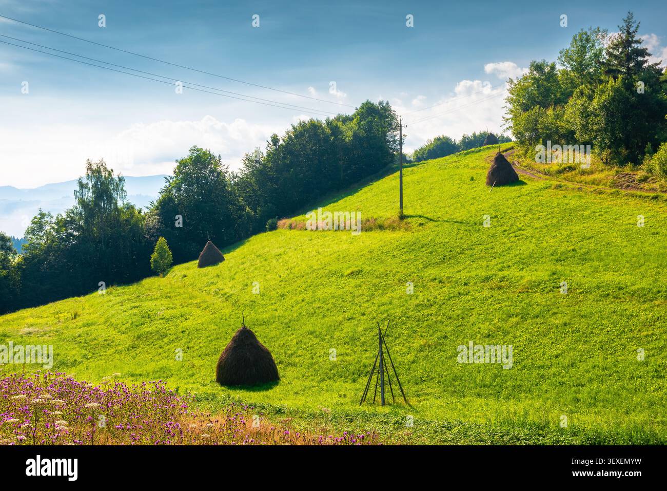rural scene in carpathian mountain landscape. summer countryside view with rolling hills in lush green grass. forested slopes in the distance Stock Photo