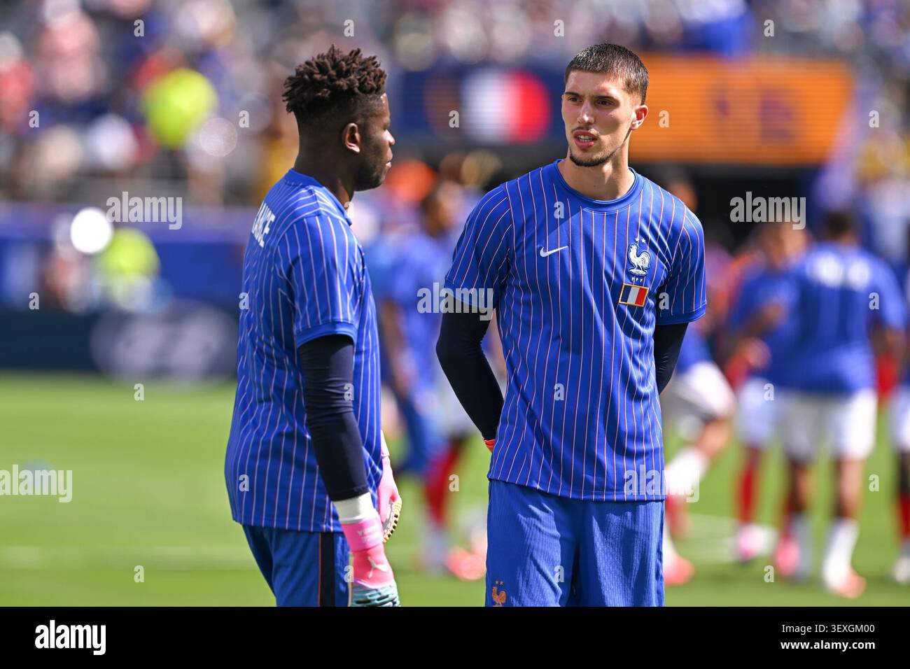 Brice SAMBA of France and Robin RISSER of France during the FIFA World ...