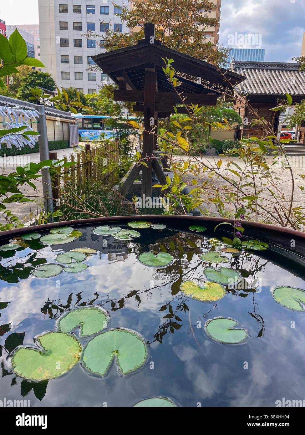 Traditional Japanese water garden with plants, shrubs, rocks and